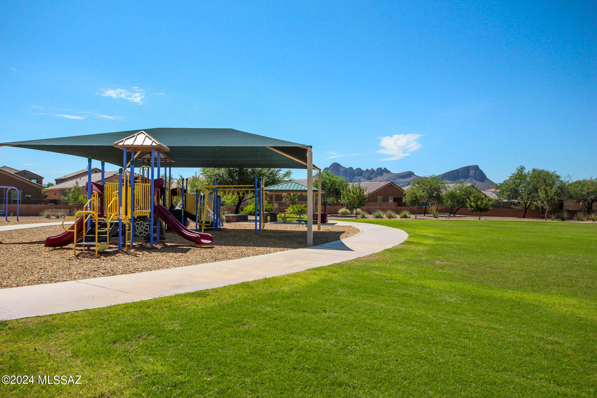 Saguaro Bloom SQ20180540069 - Residential