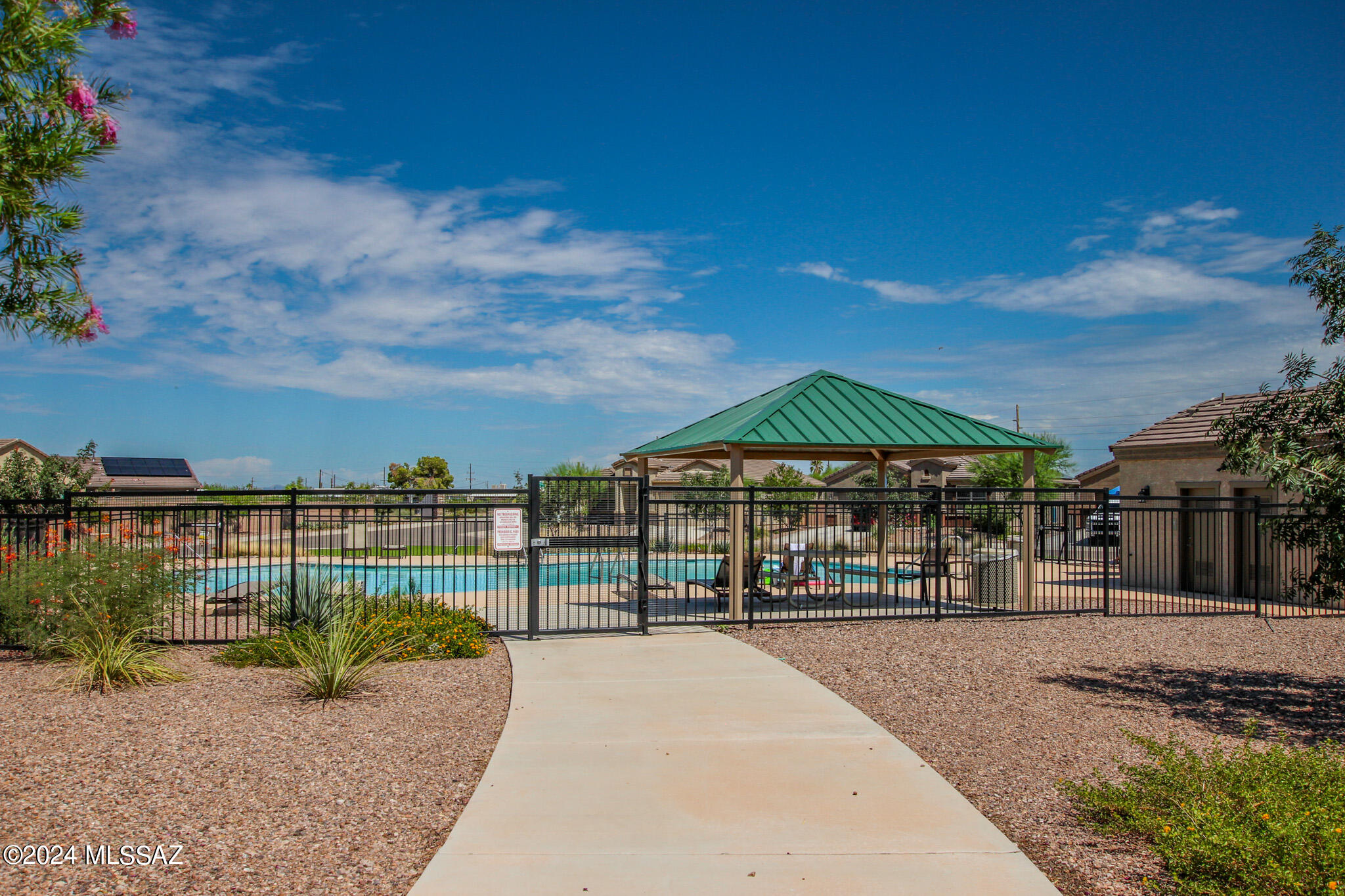 Saguaro Bloom SQ20180540069 - Residential