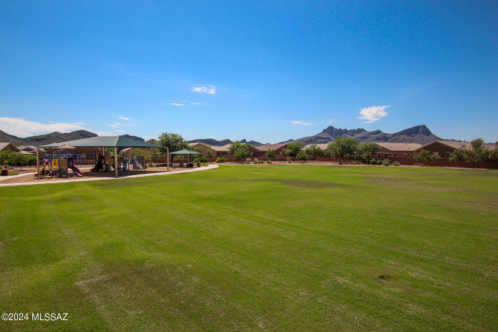 Saguaro Bloom SQ20180540069 - Residential