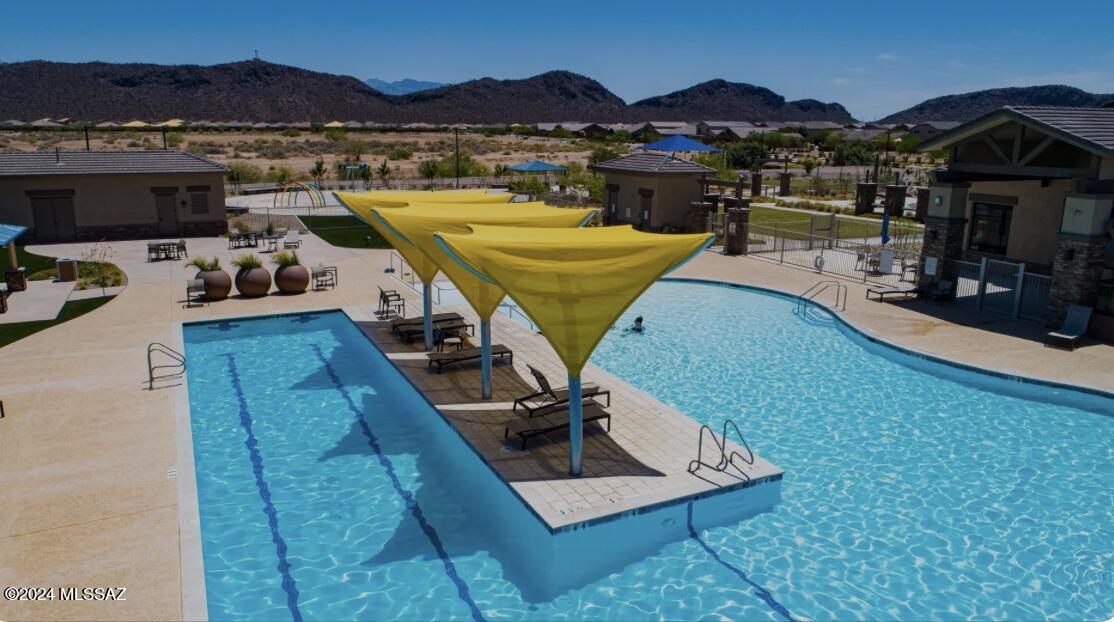 Saguaro Bloom SQ20180540069 - Residential