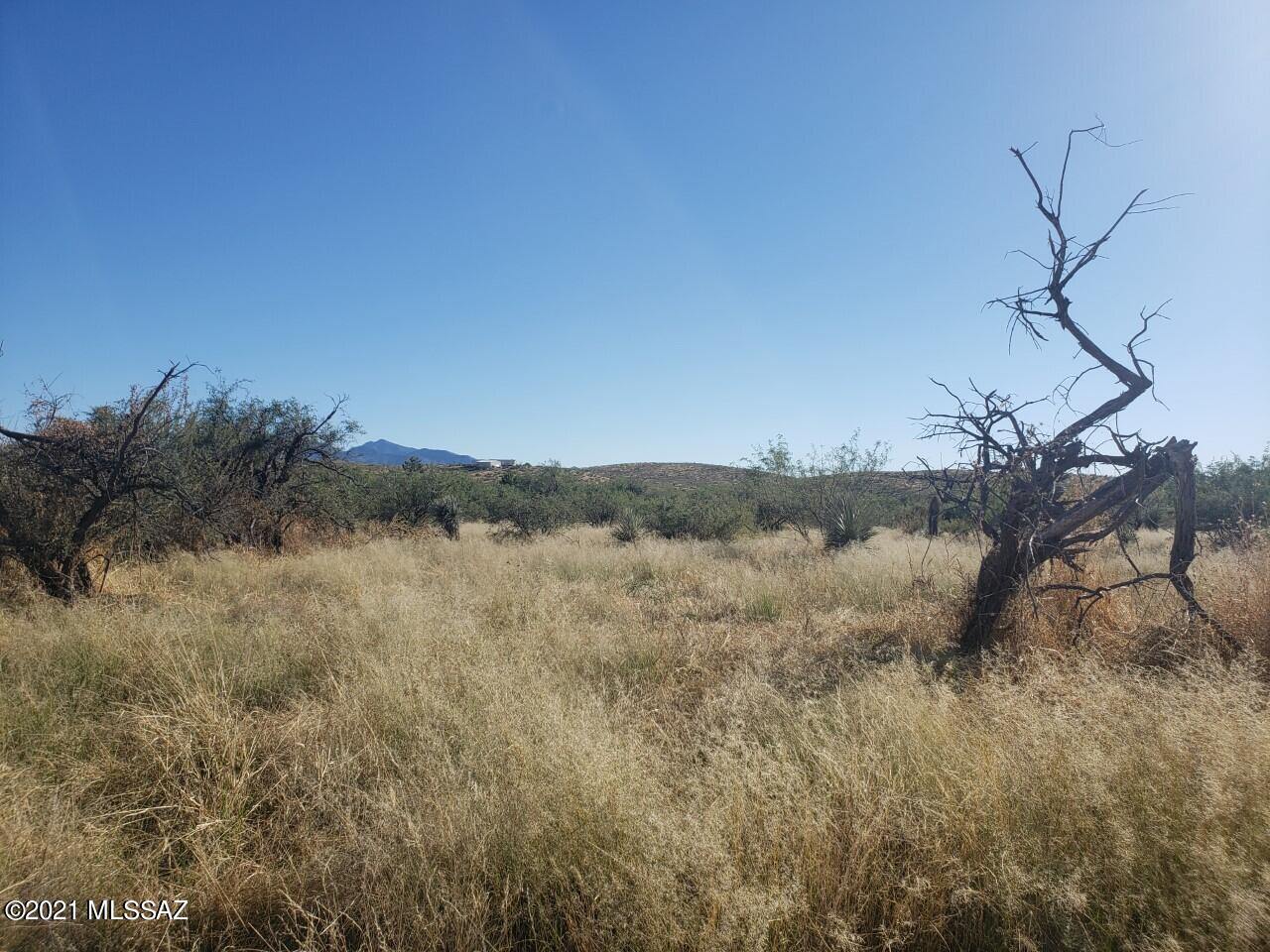 Other/Unknown - Land