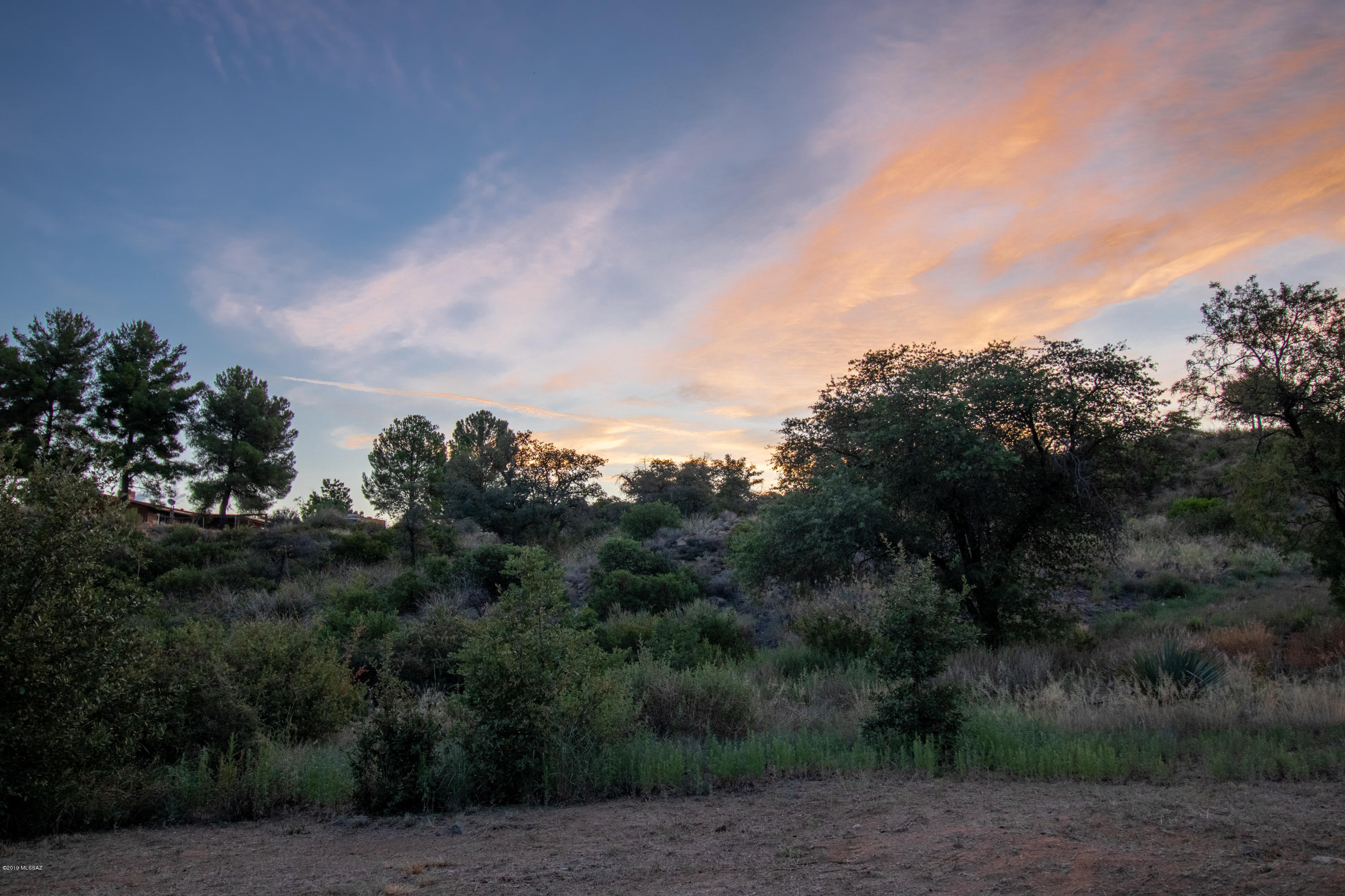 Gorgeous 2.66 Acres.  Secluded and borders National Forest.  This wonderful property is waiting for your dream home at 4500 feet elevation. 
Come see what Oracle has to offer.