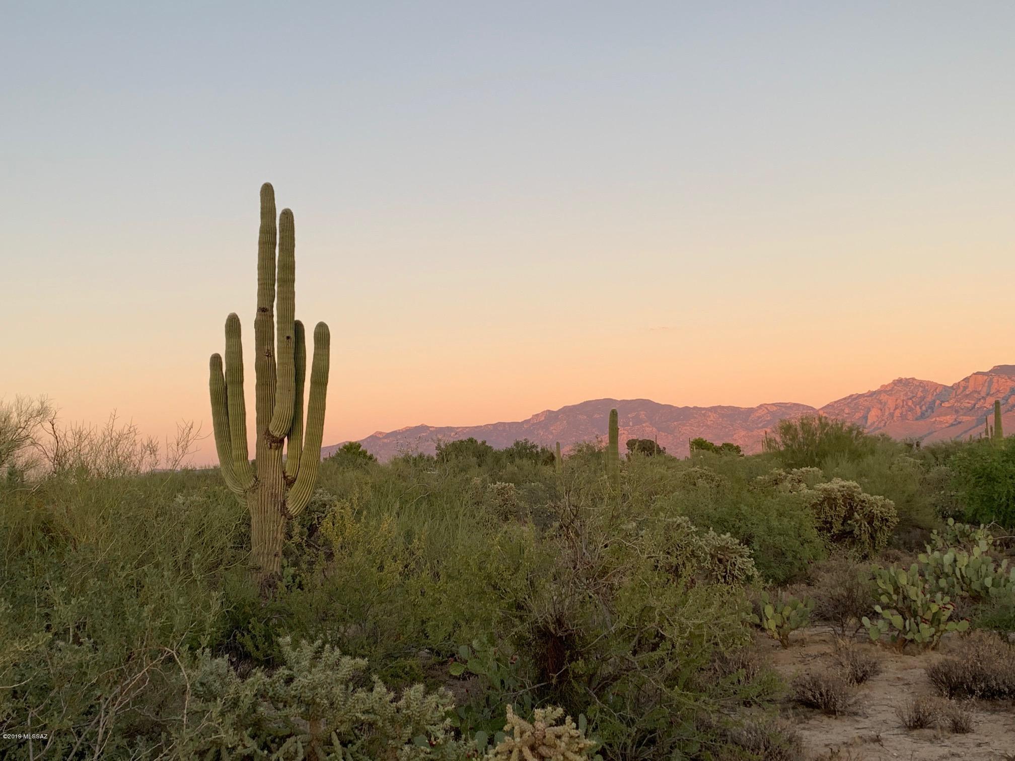 Price Reduced! Enjoy blue skies, starry nights, breathtaking views!! Stunning Natural Desert studded with Saguaros and breathtaking Sunsets.Pavement to lot. Tucson Water Line and Water Meter already Installed. Conveniently Located Close to Restaurants, Shopping, and Schools. Zoning is R-80!
