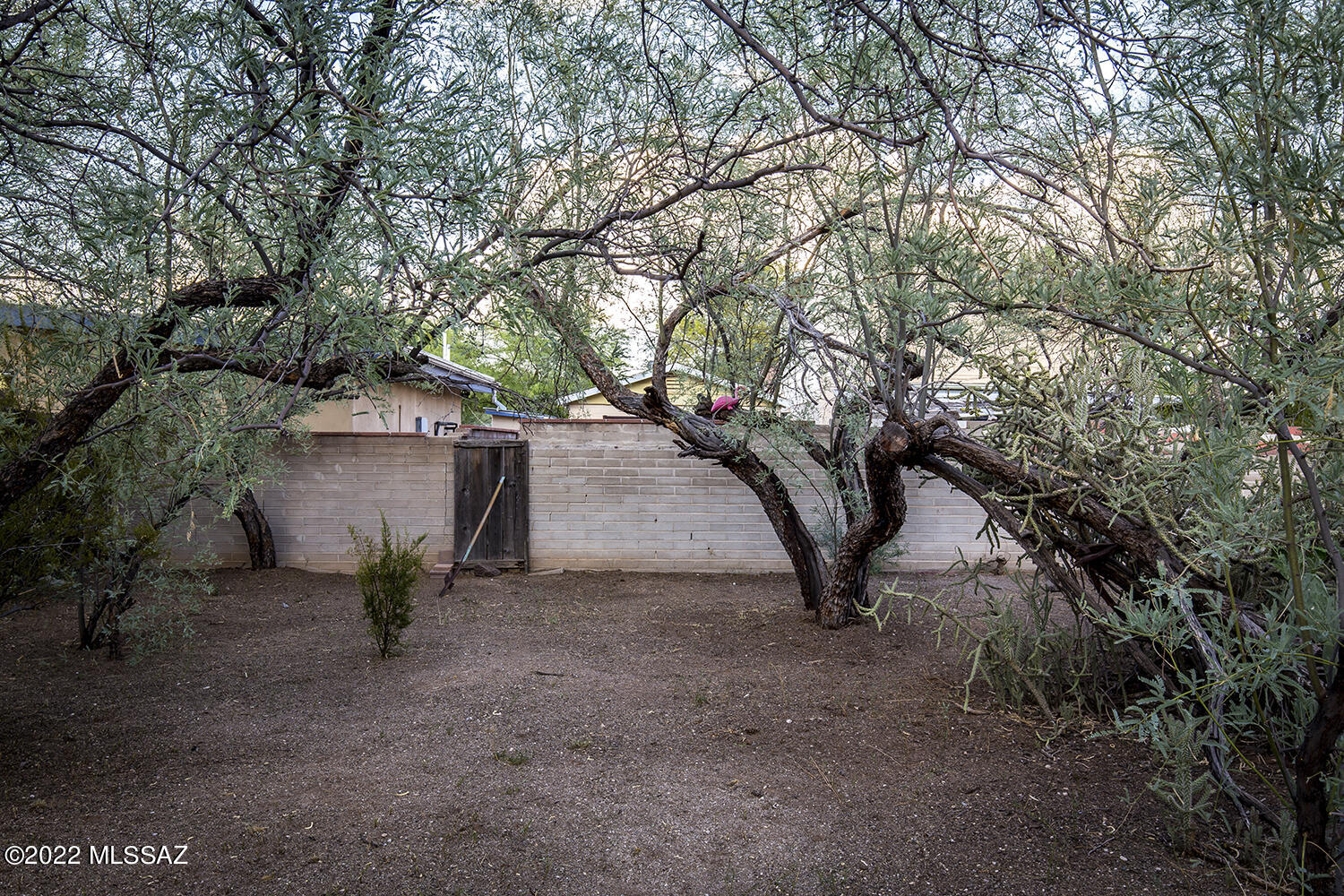 Avondale - Residential