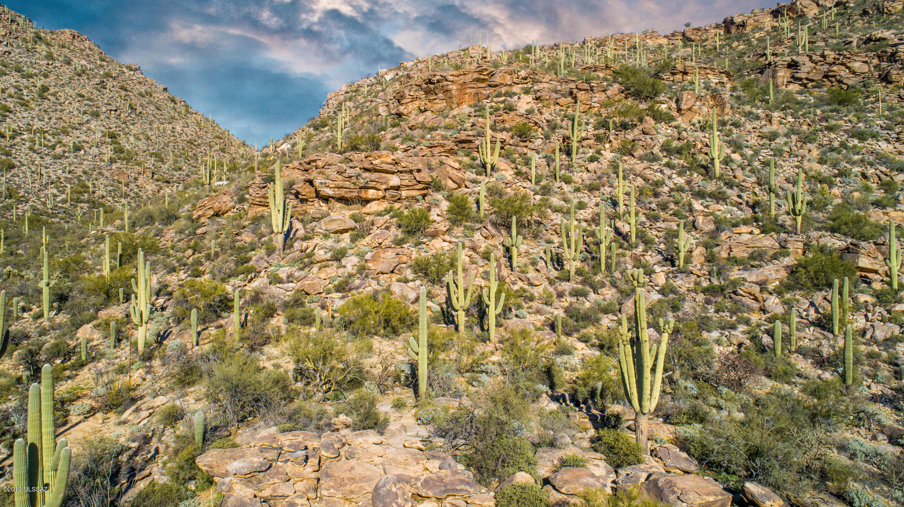 Canyon Pass At Dove Mountain - Land