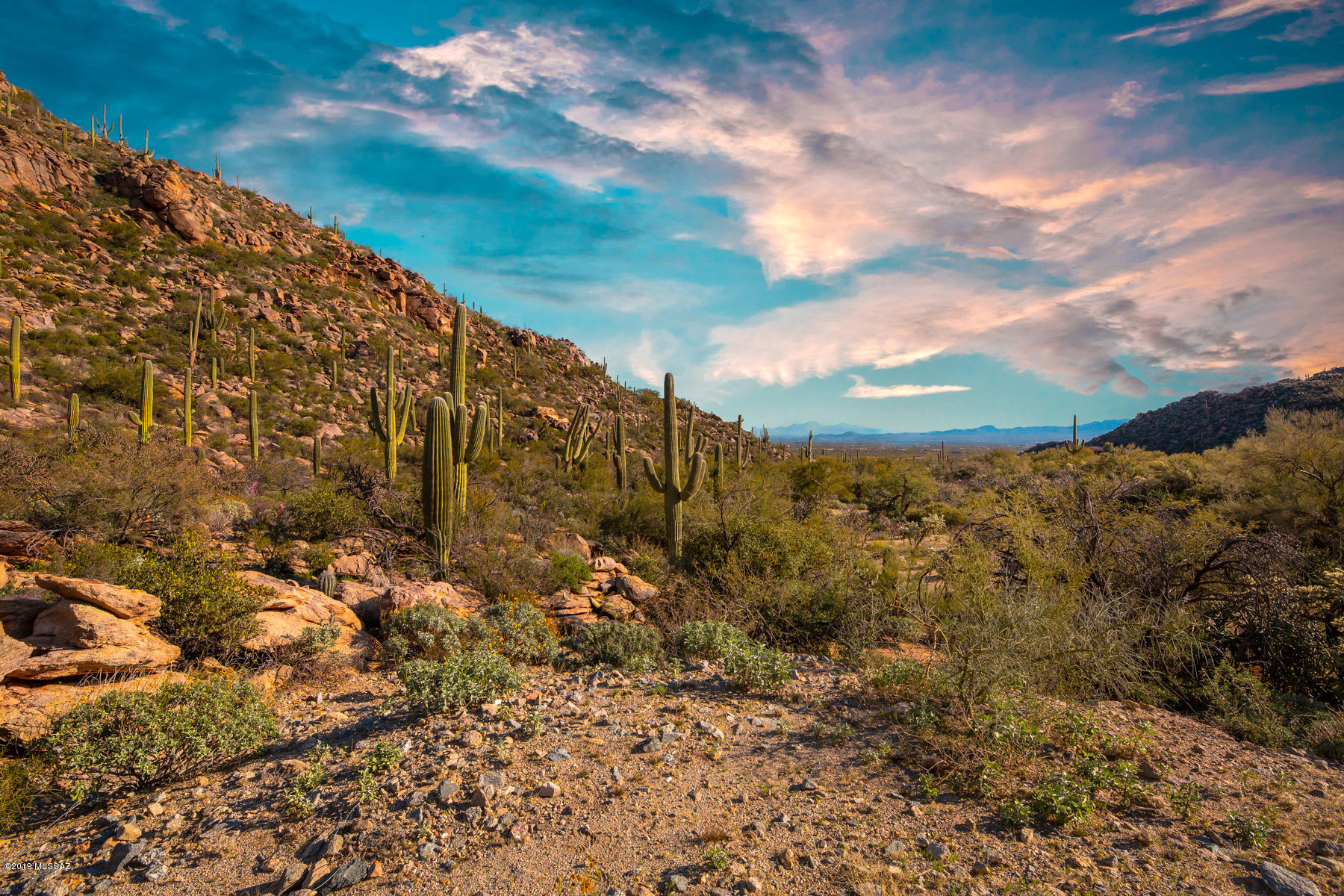 Canyon Pass At Dove Mountain - Land