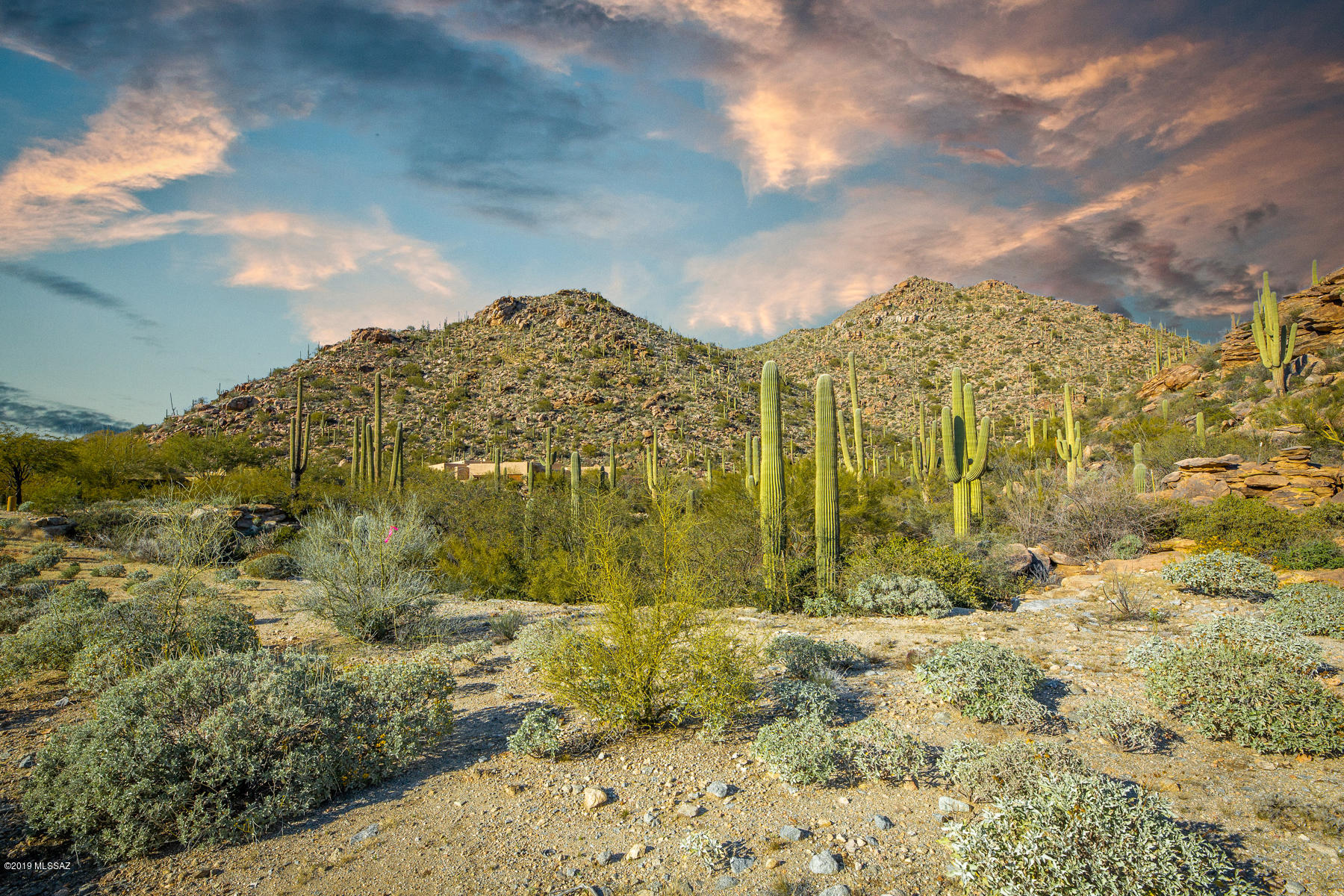 Canyon Pass At Dove Mountain - Land