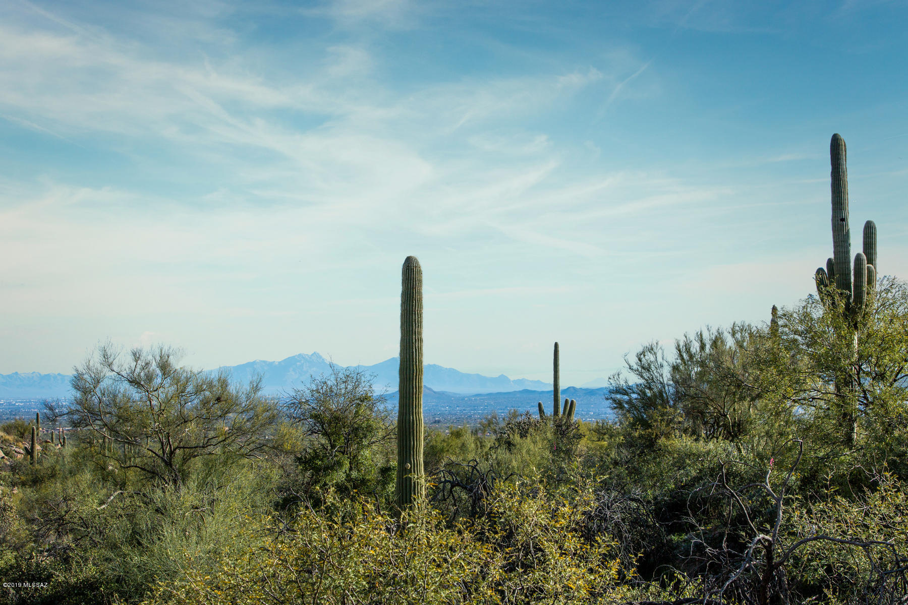 Canyon Pass At Dove Mountain - Land