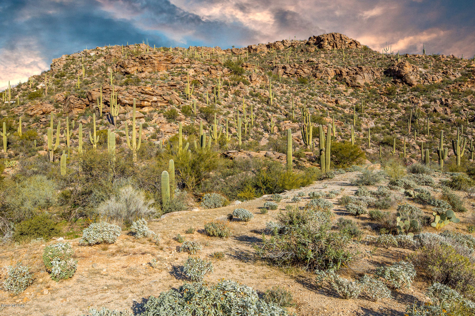 Canyon Pass At Dove Mountain - Land