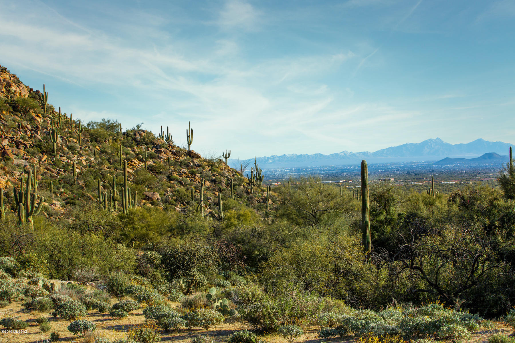 Canyon Pass At Dove Mountain - Land