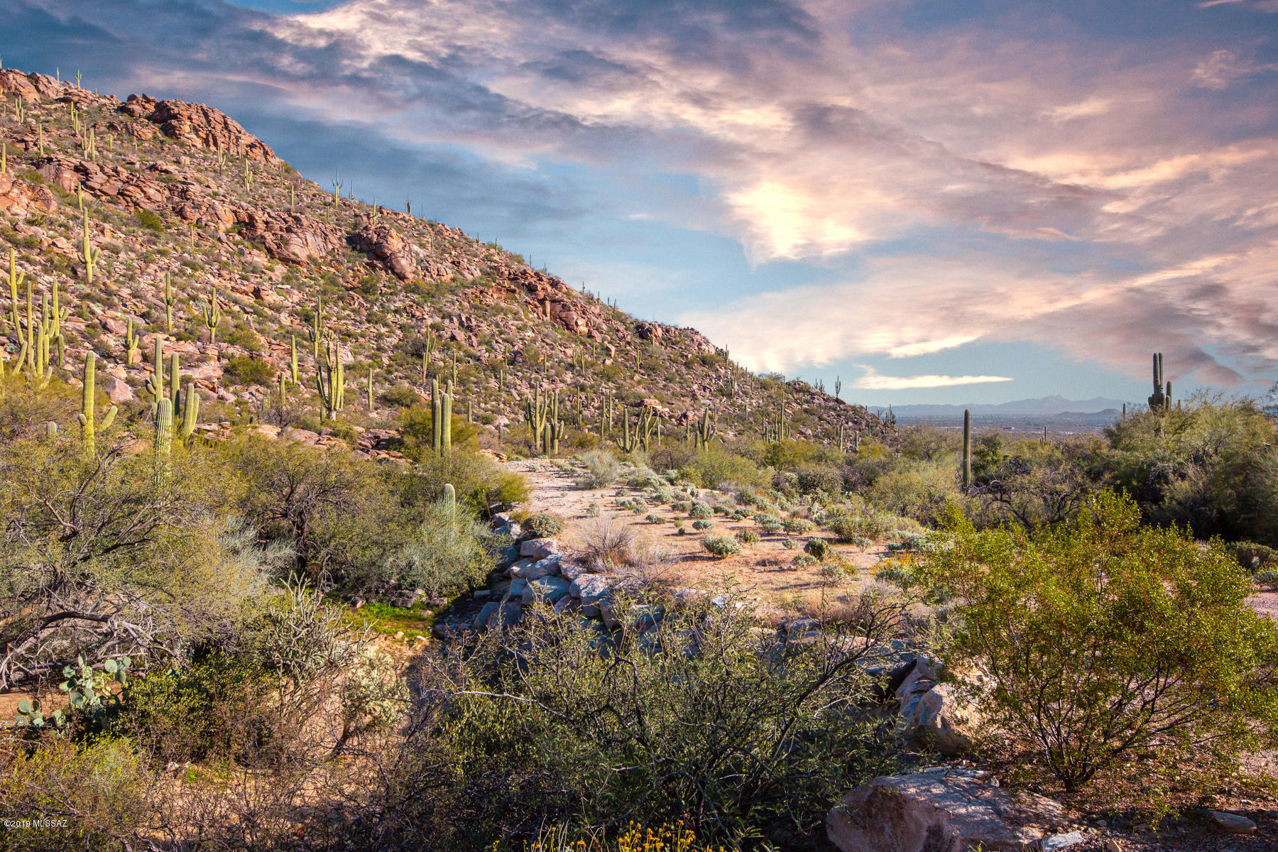 * DESERT WONDERLAND* STUNNING HOMESITE NESTLED AT THE BASE OF THE TORTOLITA MTNS- SURROUNDED BY LUSH SONORAN DESERT- SOARING SAGUAROS, ANCIENT ROCK FORMATIONS, BREATHTAKING MTN VIEWS GALORE!! TRULY A DESERT PARADISE...TOTALLY PRIVATE! BUILD YOUR DREAM HOME...PRESTIGIOUS GATED COMMUNITY- MILLION $$ PLUS HOMES** SPACIOUS BUILDING ENVELOPE, ALREADY SURVEYED/FLAGGED, ALL UTILITIES TO LOT LINE, CITY WATER/SEWER ! BRING YOUR BUILDER AND ARCHITECT- GREAT *INVESTMENT OR SPEC* OPPORTUNITY TOO! SEE SURVEY/PLAT ATTACHED
