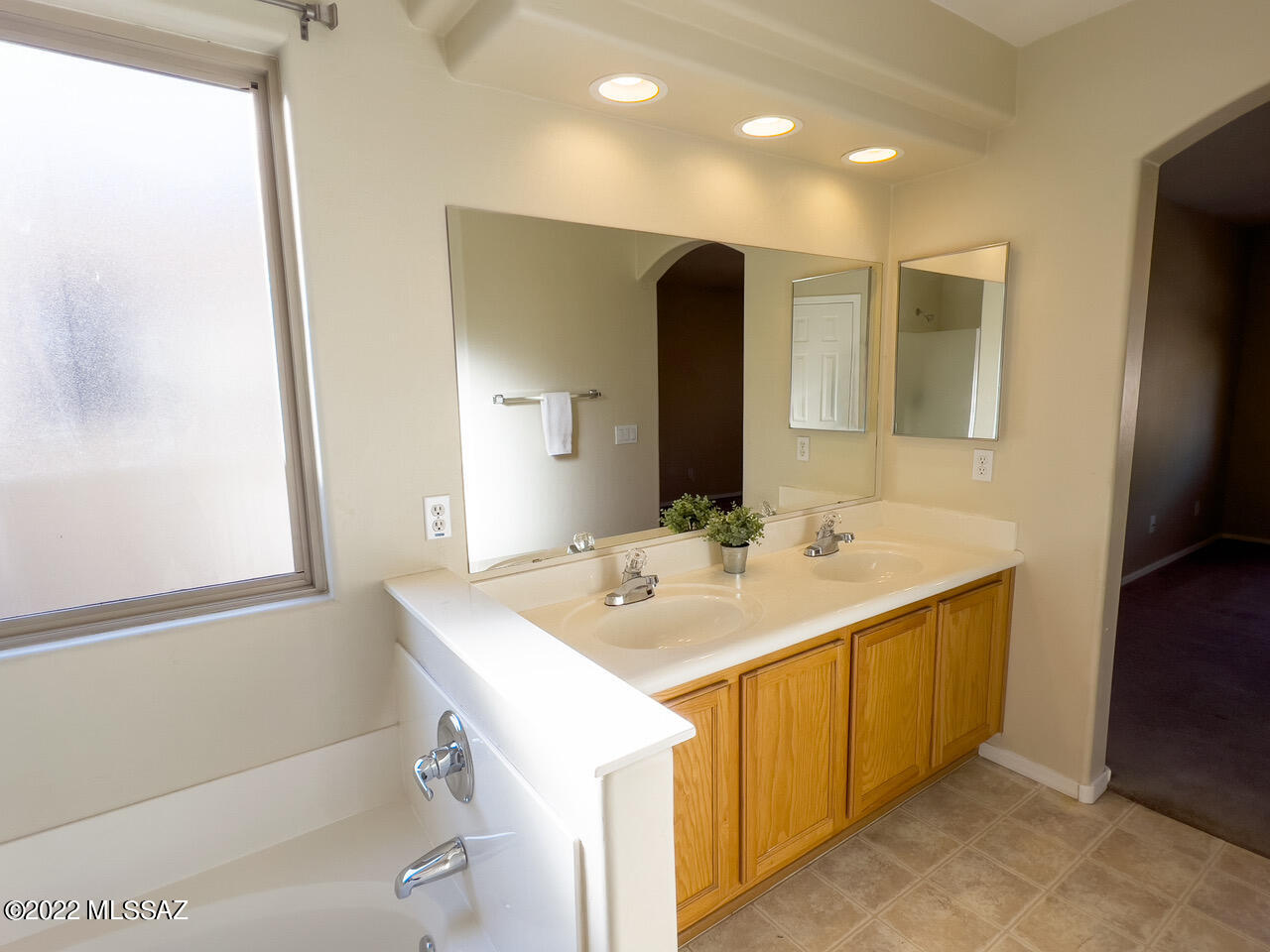 Cortaro Ranch (1-297) - Residential