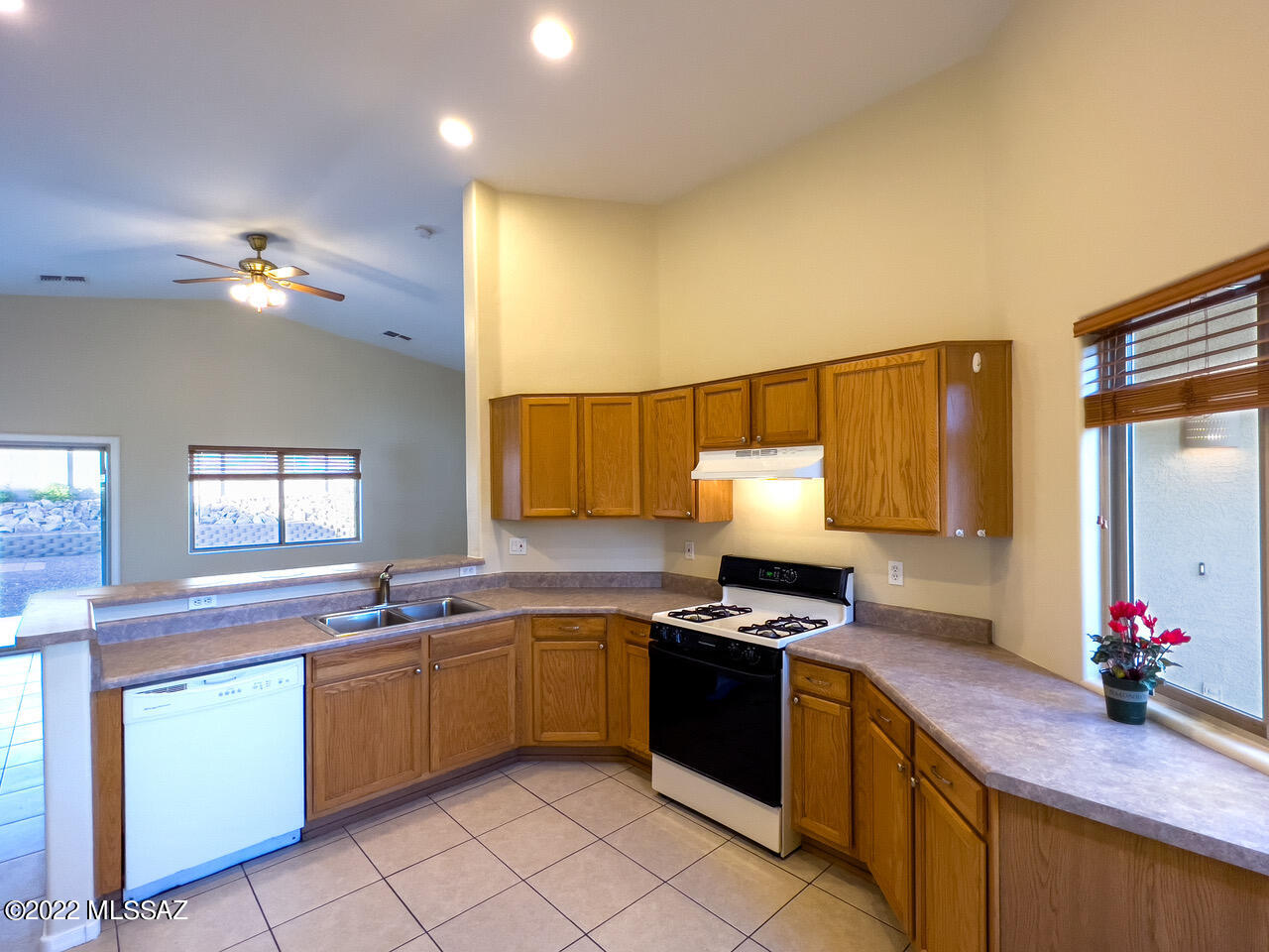 Cortaro Ranch (1-297) - Residential