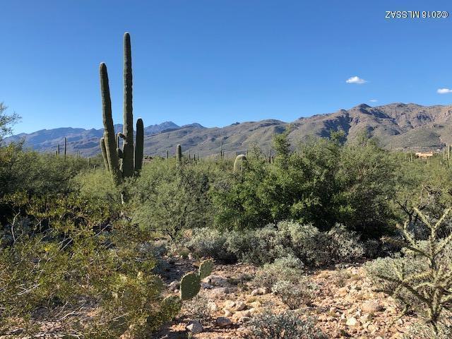 Canada Verde Estates (1-10) - Land