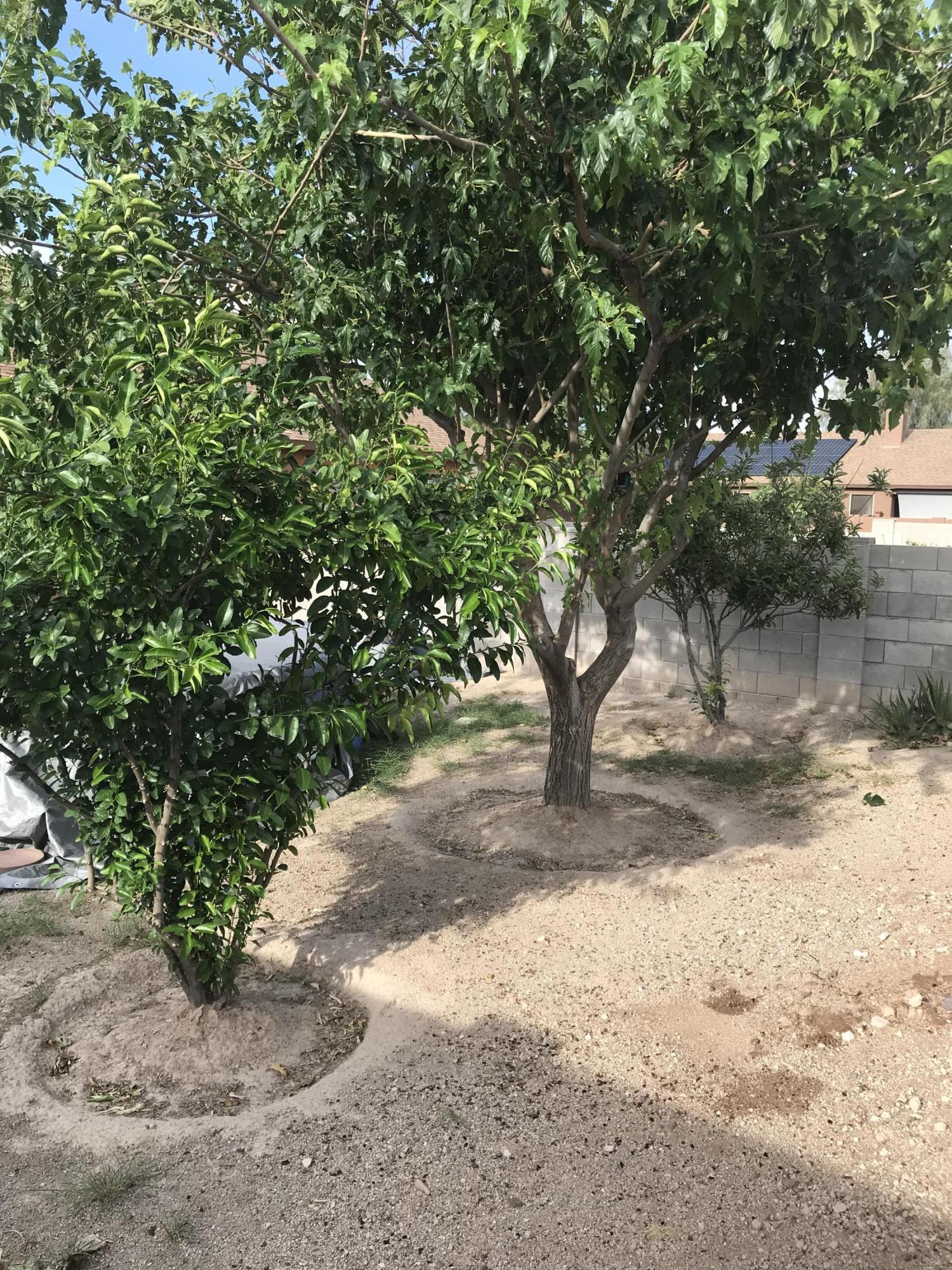 Tres Pueblos - Residential