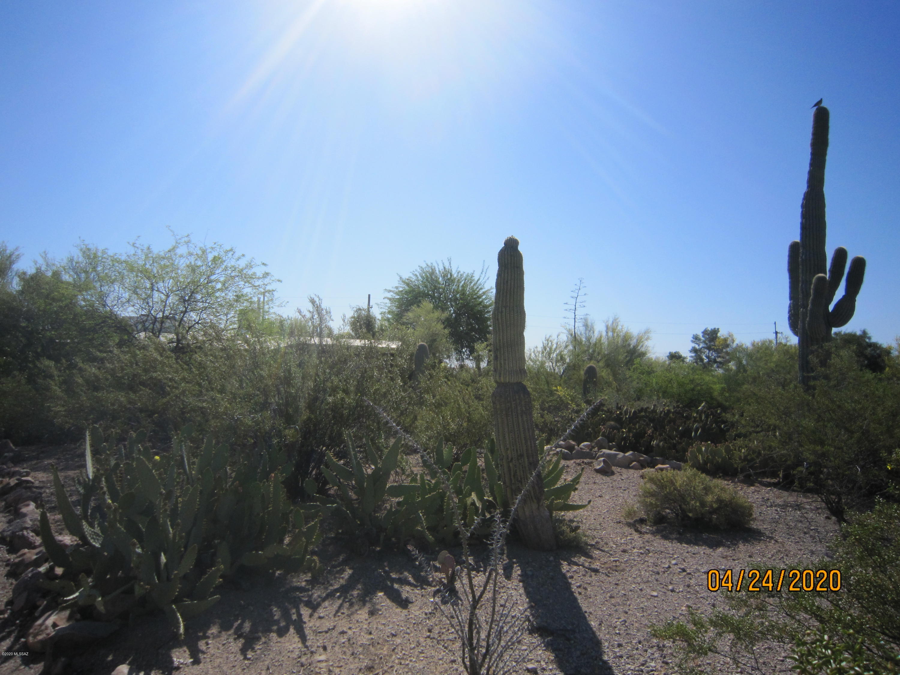 Hiawatha Hills - Residential Lease