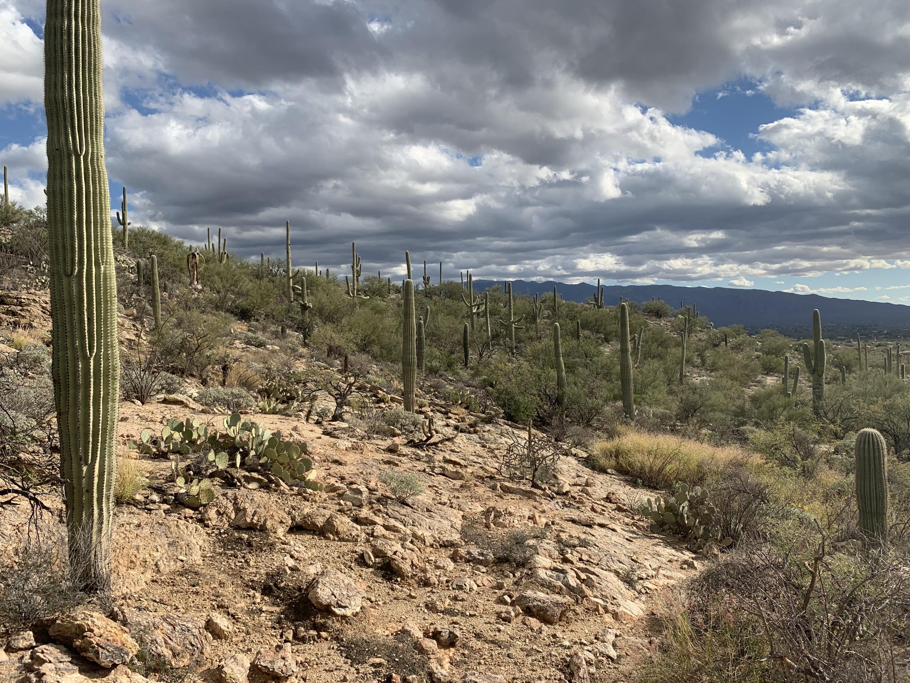 Fetzer Ranch (1-60) - Land