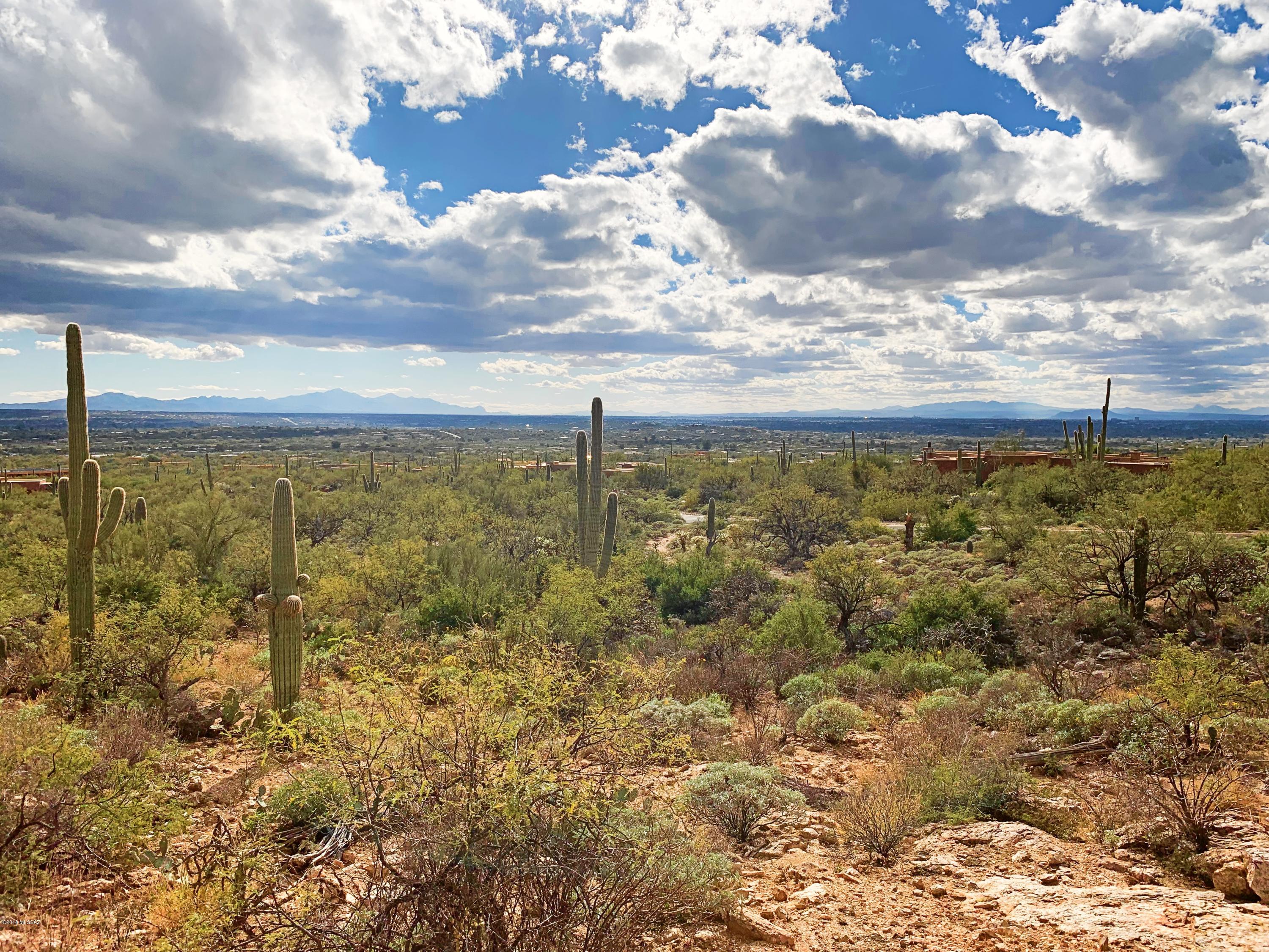 Fetzer Ranch (1-60) - Land
