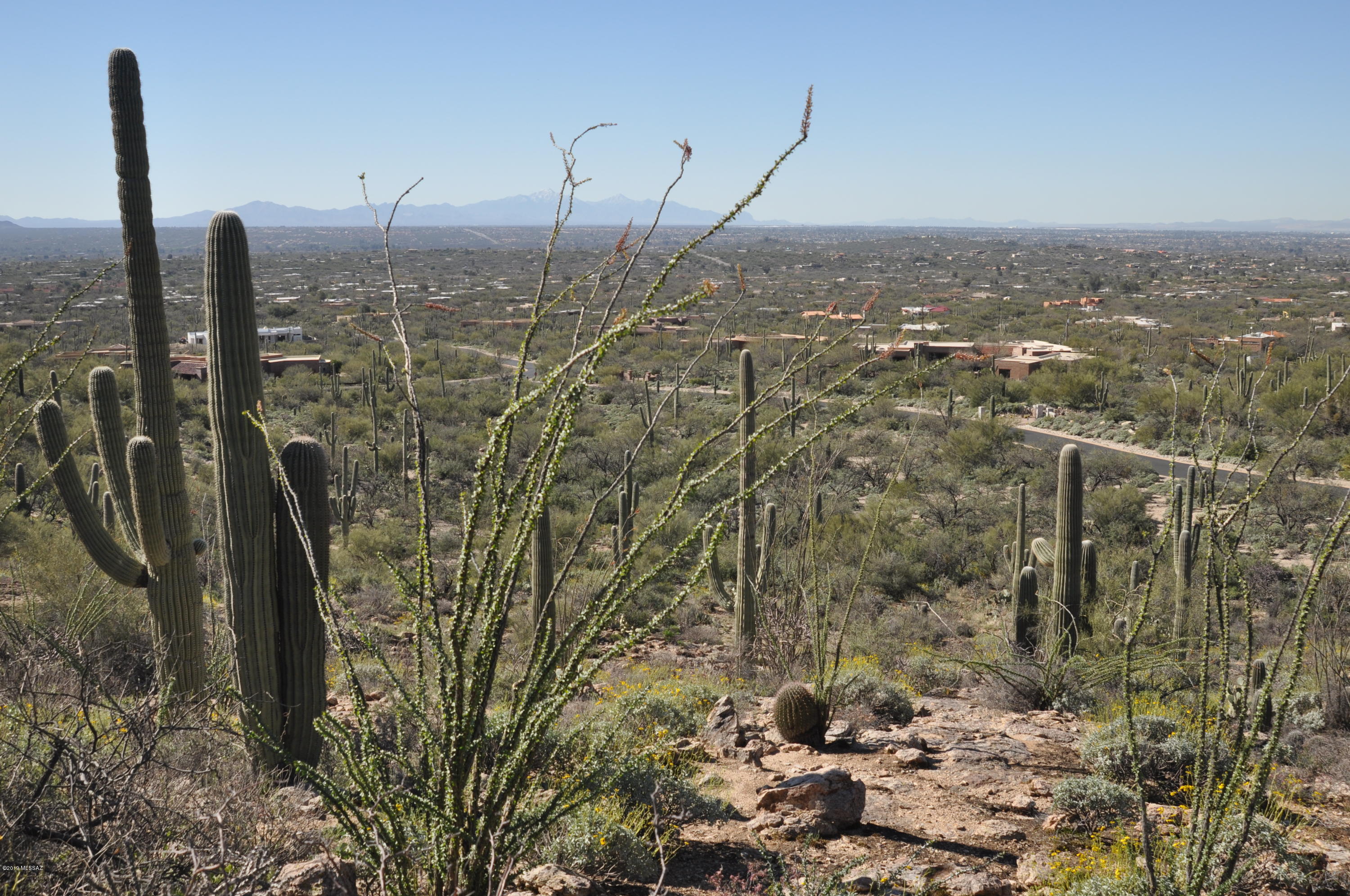 Fetzer Ranch (1-60) - Land