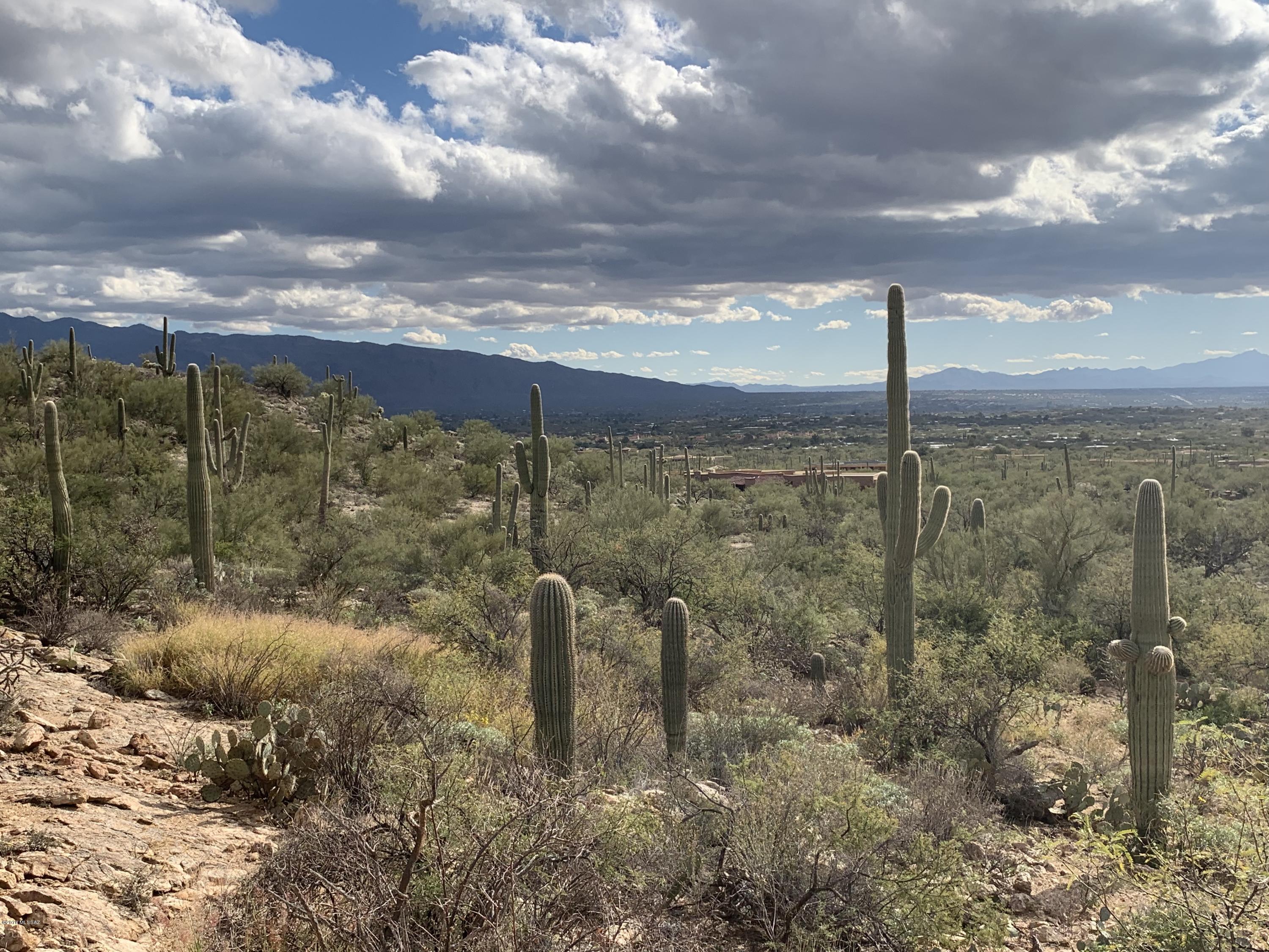 Fetzer Ranch (1-60) - Land