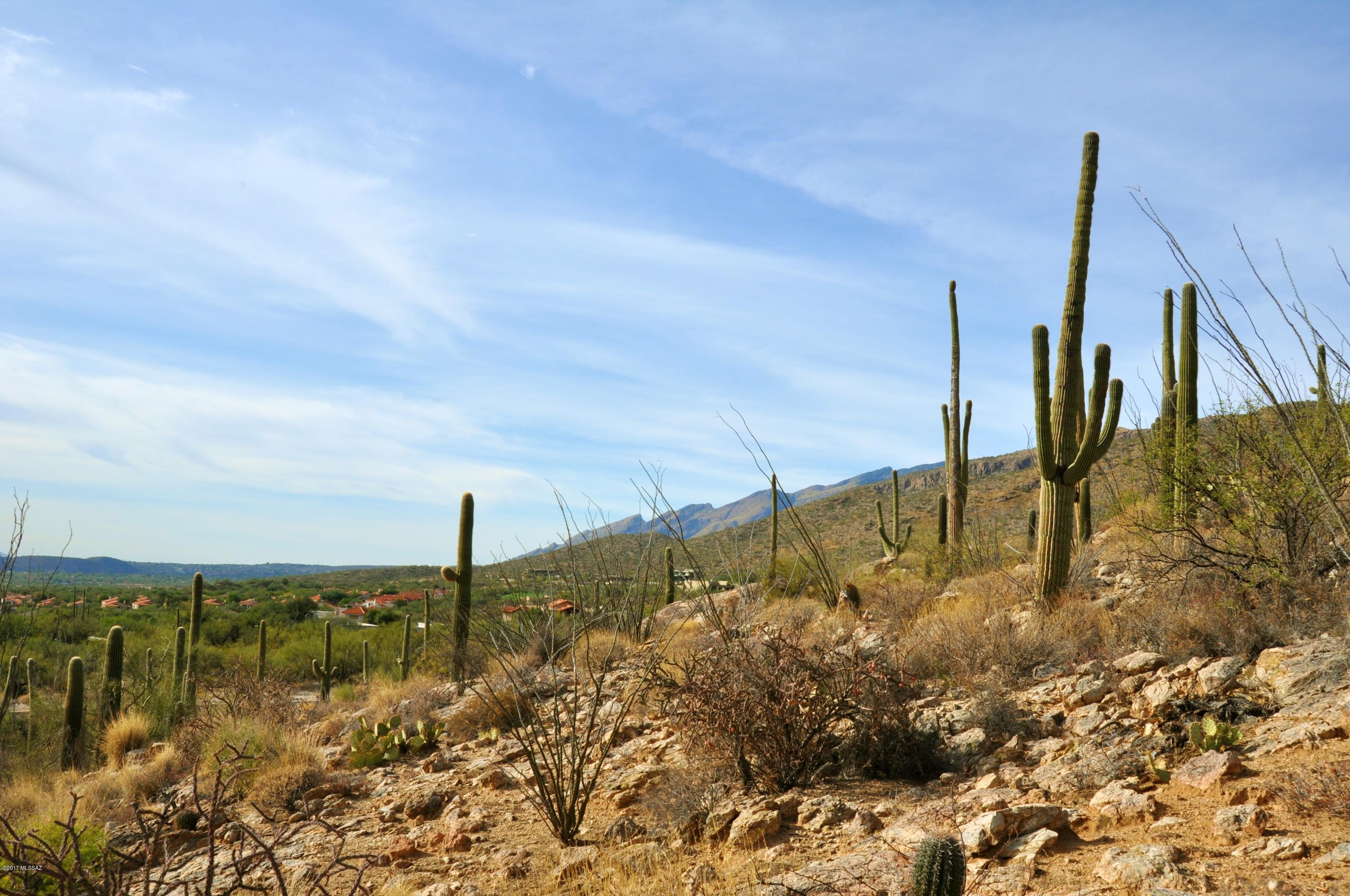 Fetzer Ranch (1-60) - Land