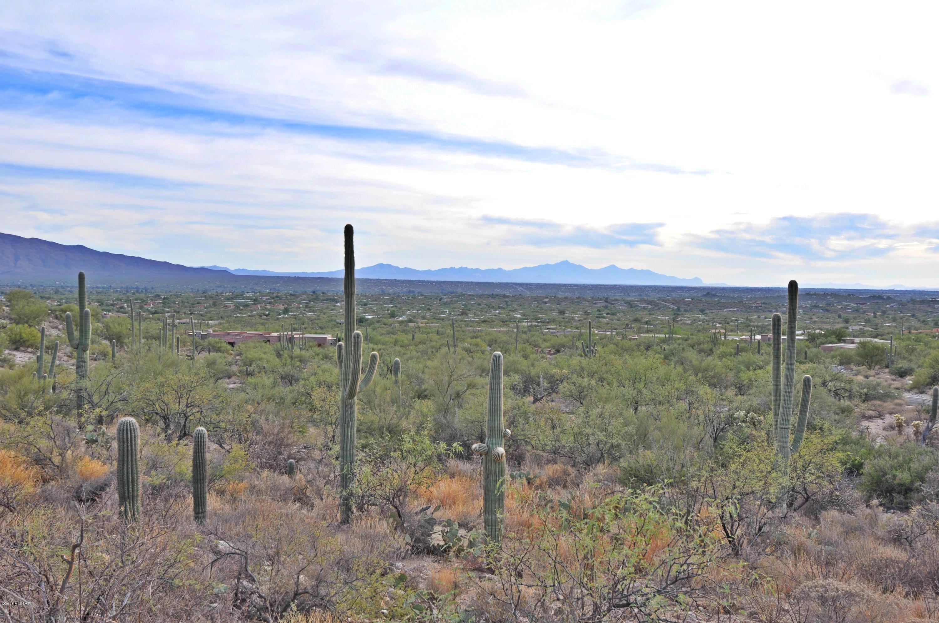 Fetzer Ranch (1-60) - Land