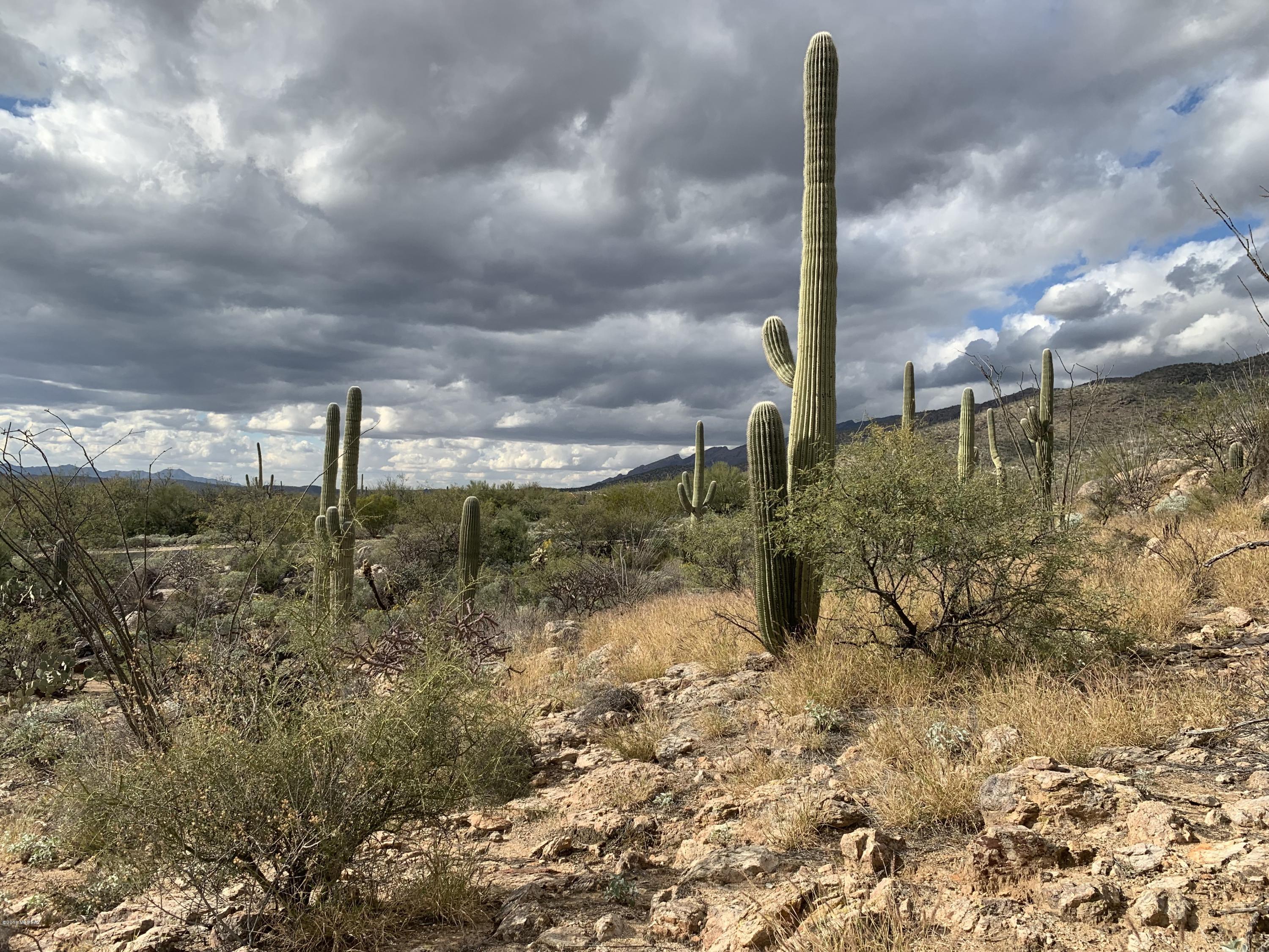 Fetzer Ranch (1-60) - Land