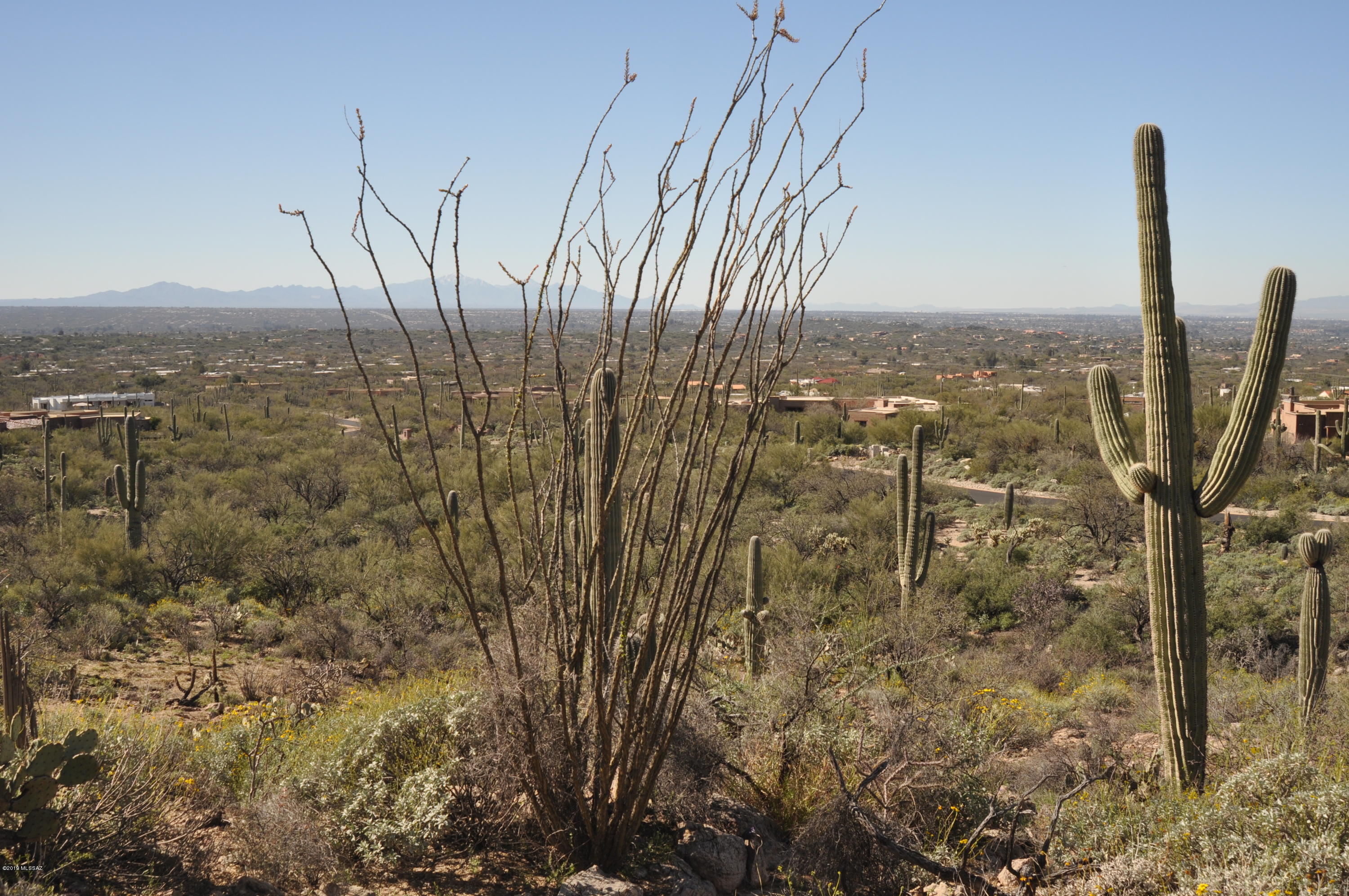 Fetzer Ranch (1-60) - Land