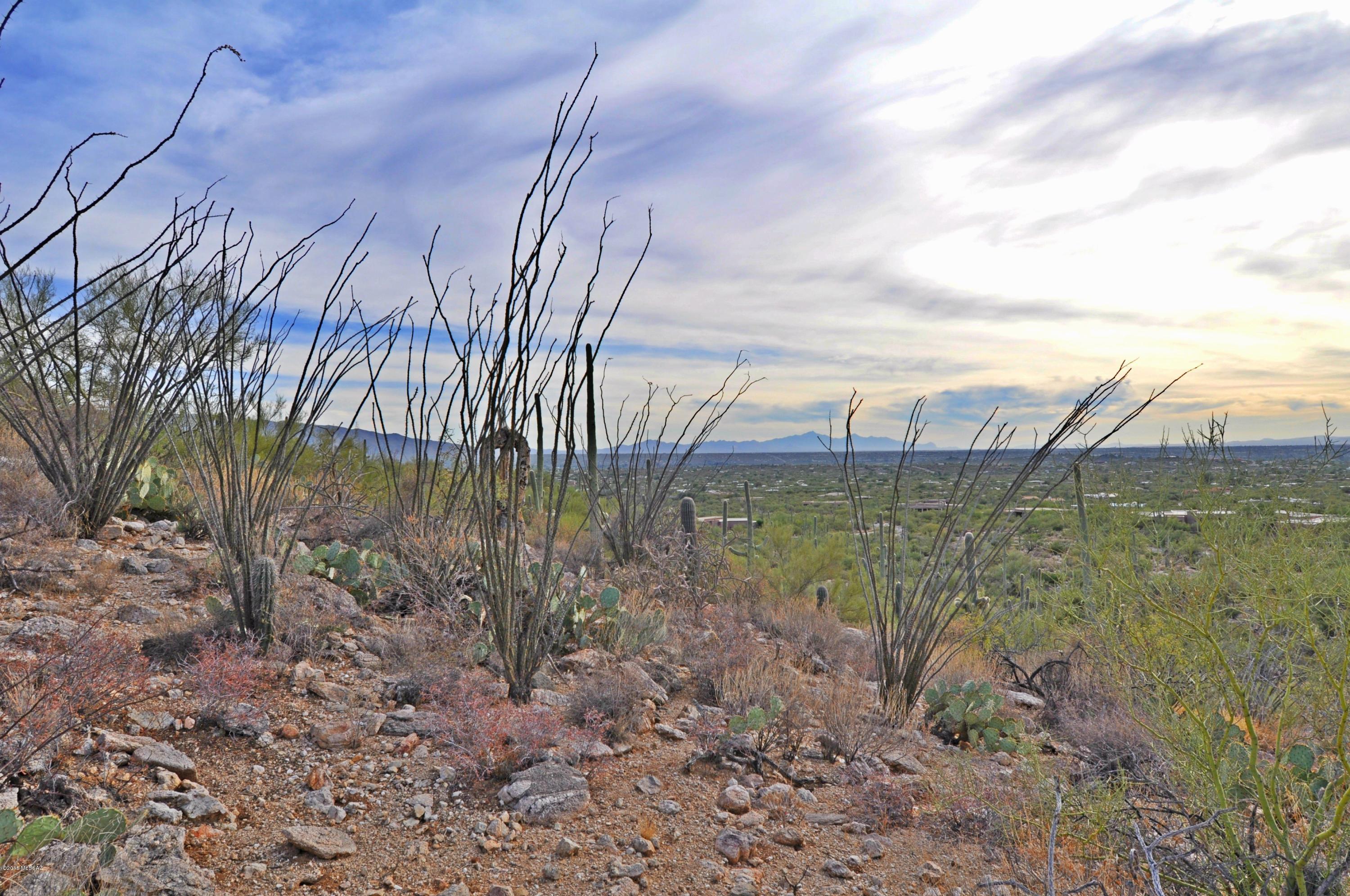 Fetzer Ranch (1-60) - Land