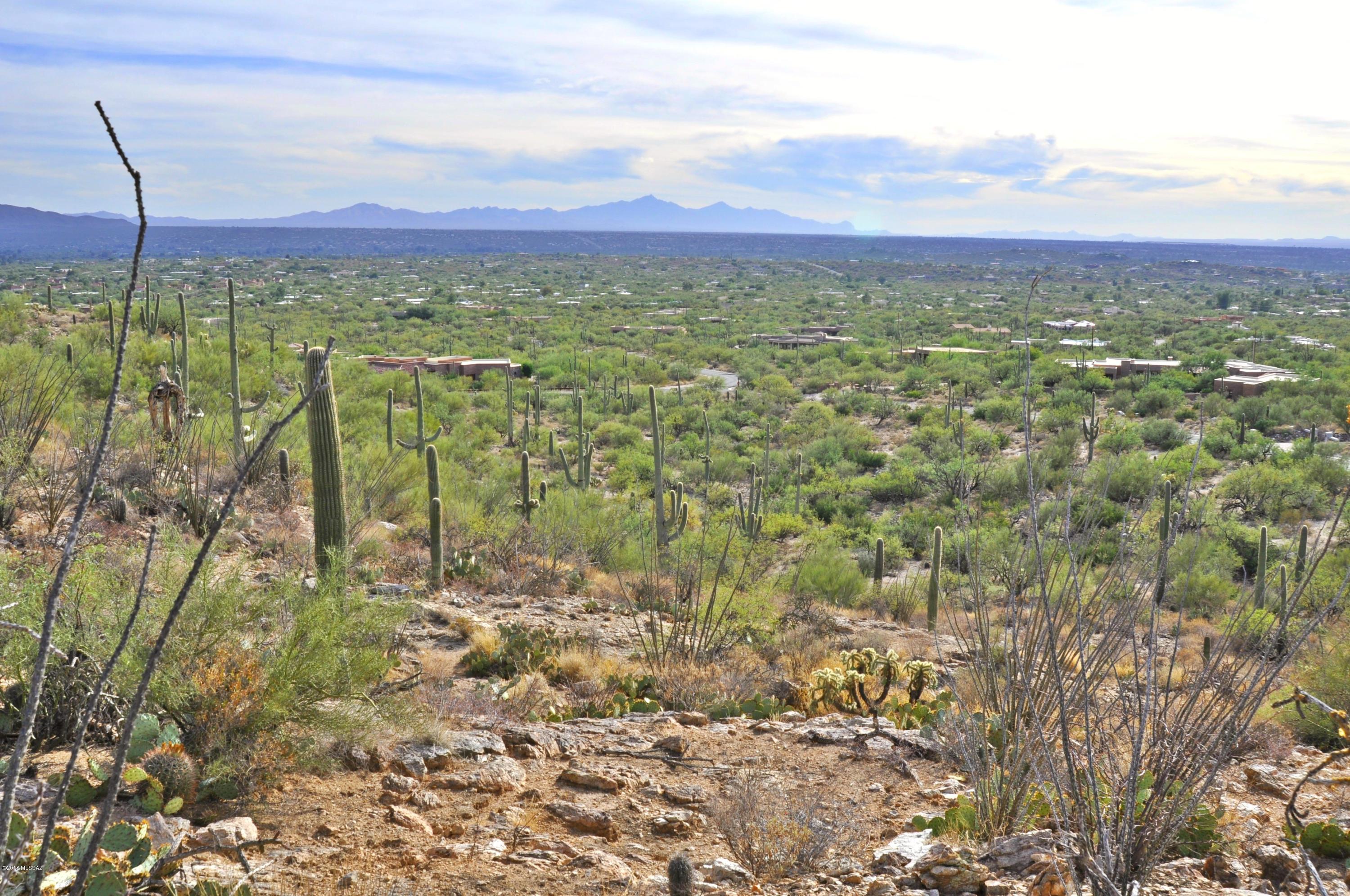 Fetzer Ranch (1-60) - Land