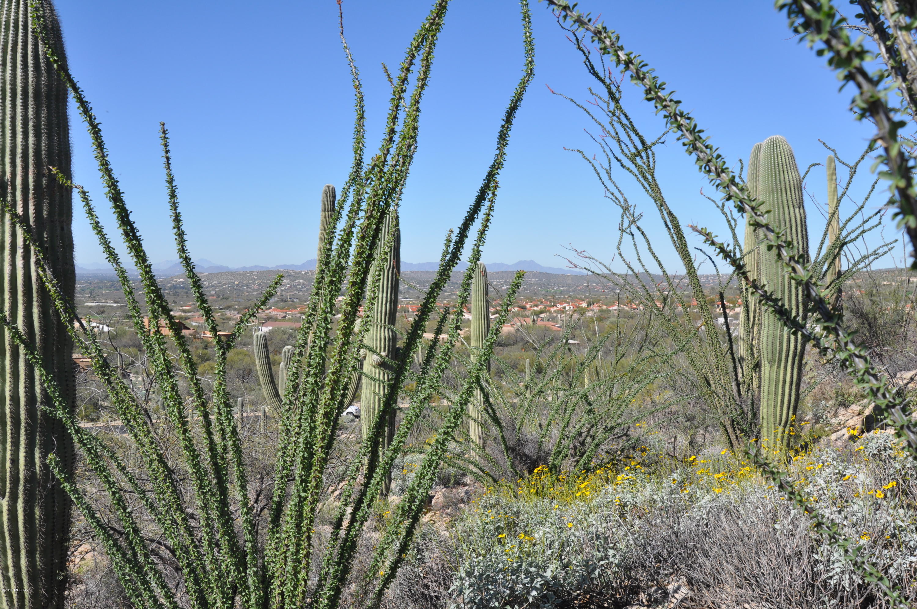 Fetzer Ranch (1-60) - Land