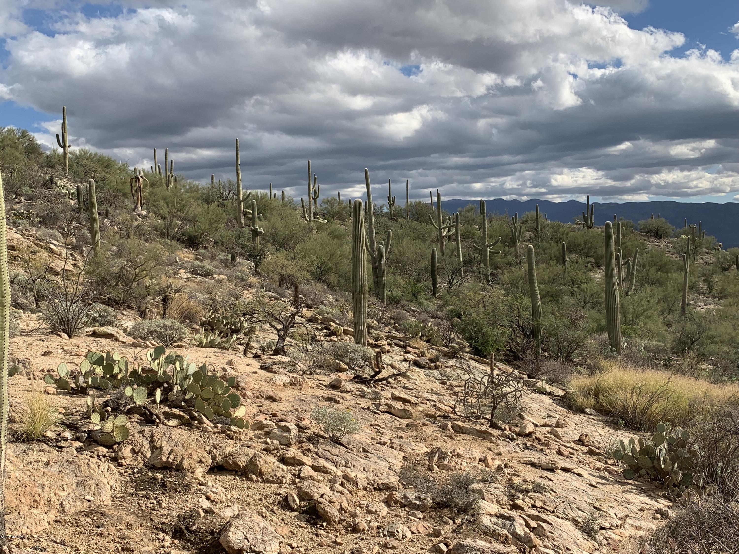 Fetzer Ranch (1-60) - Land