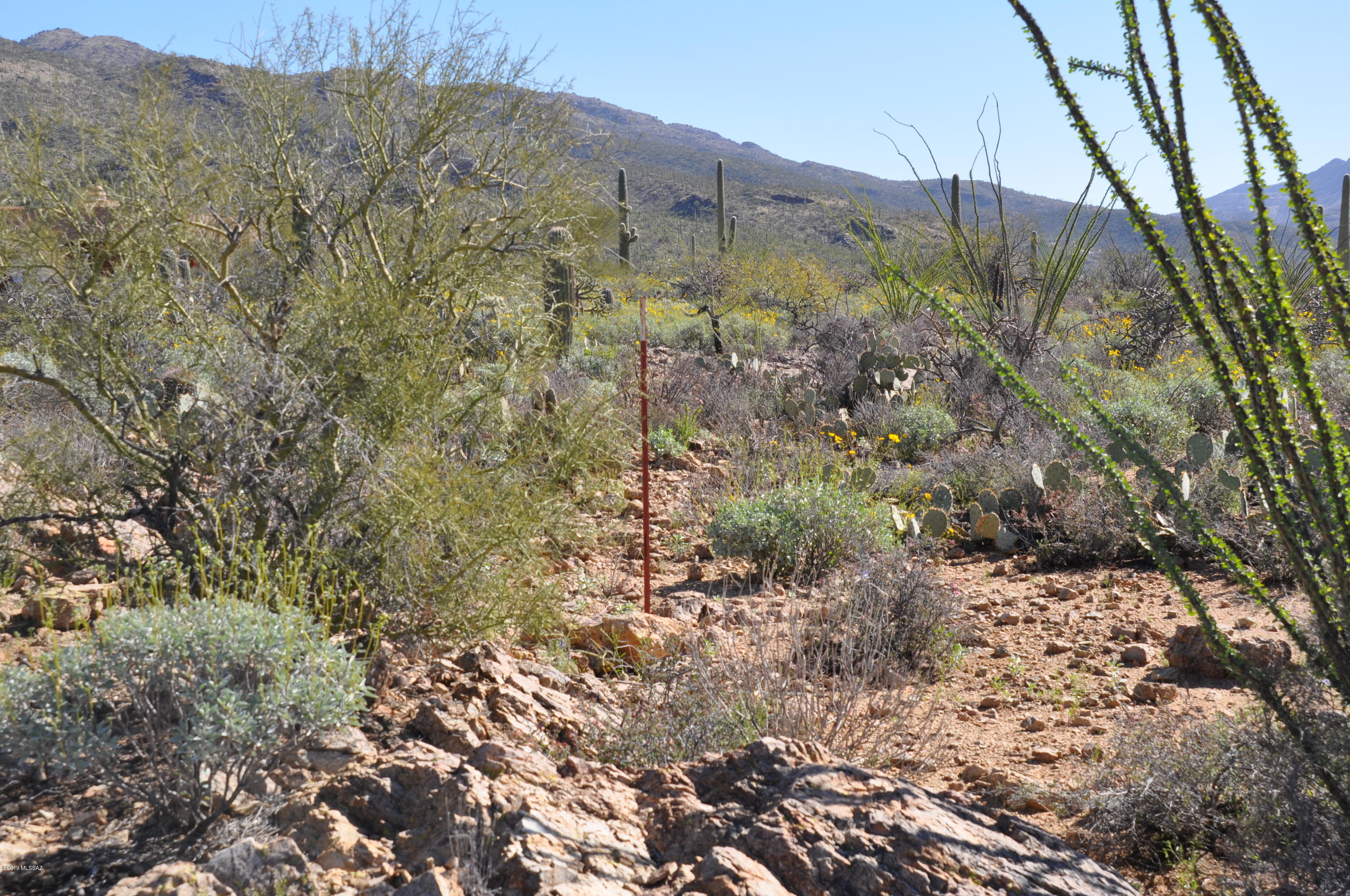 Fetzer Ranch (1-60) - Land