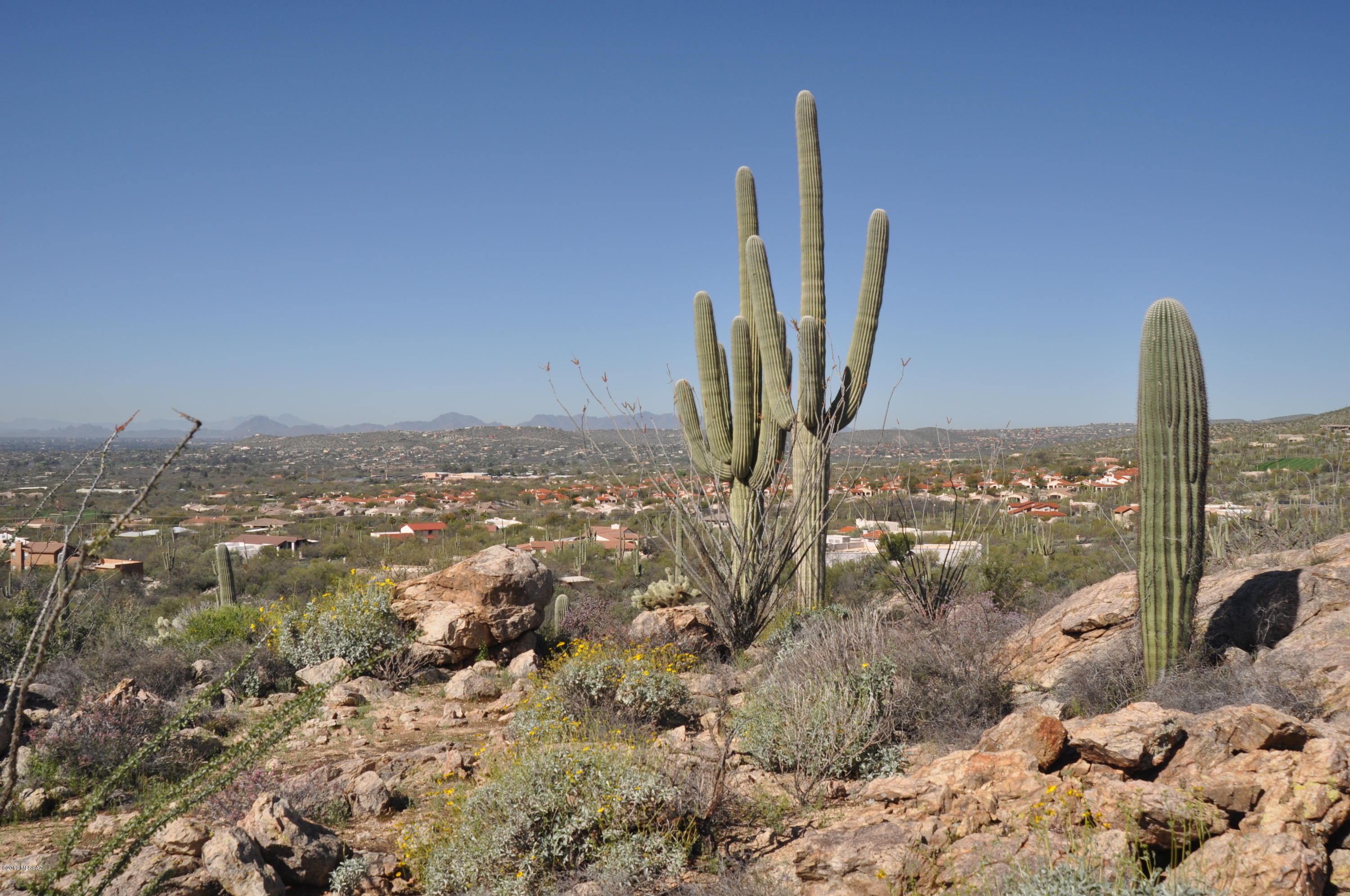 Fetzer Ranch (1-60) - Land