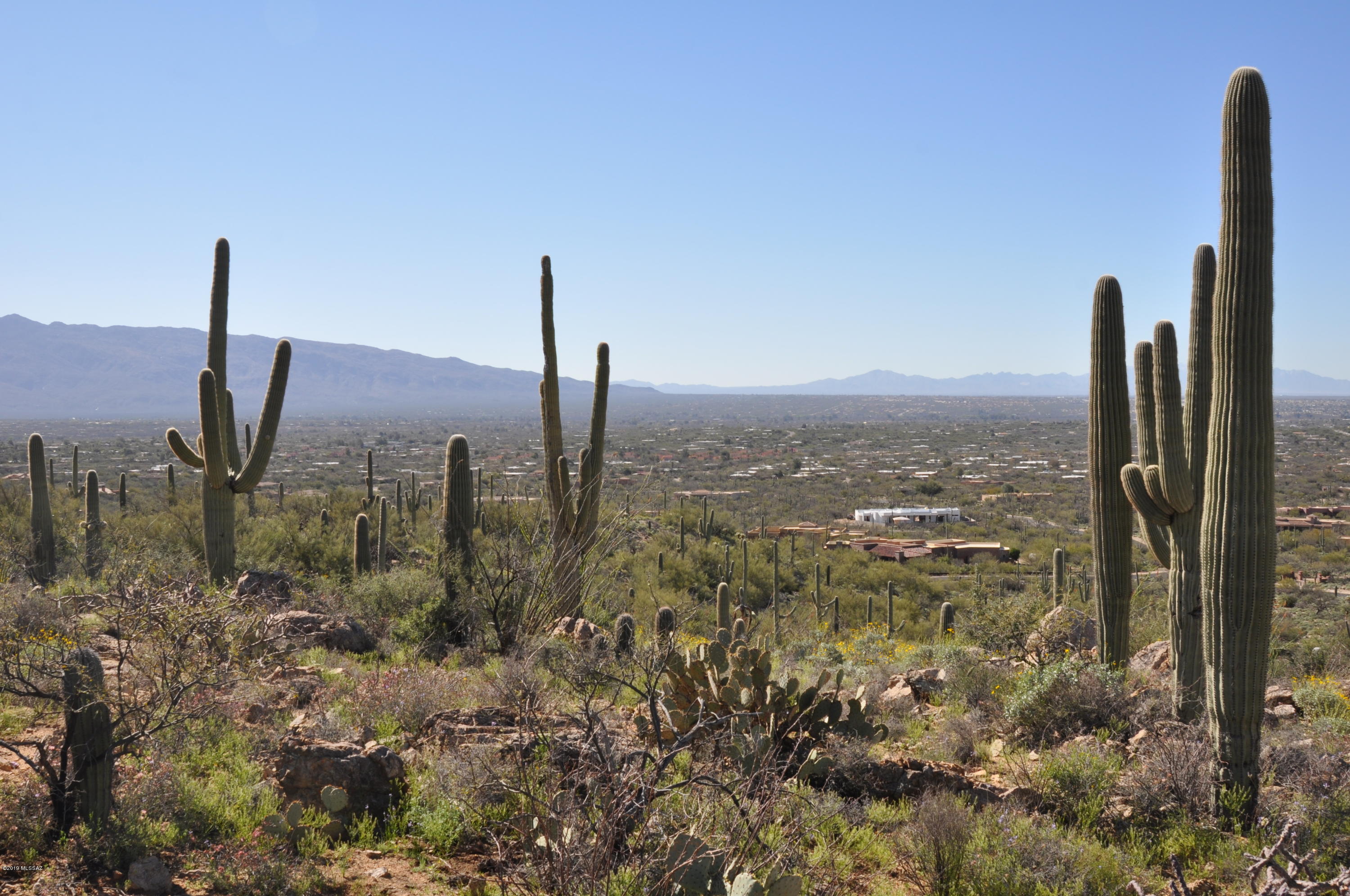 ELEVATED, BUILD SITE - COMMANDING CITY AND MTN VIEWS! One of the highest elevation parcels in Saguaro Hills gated community. This property is studded with MANY MATURE SAGUAROS! Foothills rolling desert terrain which steps up the hill offering a variety of placement options for a future residence. A Legacy Site! Your architectural vision can run wild with creativity! Underground utilities include: city water, sewer, electric, natural gas, & phone installed to lot line per the subdivision report. 3,000sf minimum residence with design review.  See attached Design Guidelines for info about building envelope & more. CCR's & subdivision documents/survey plat  attached in MLS documents.