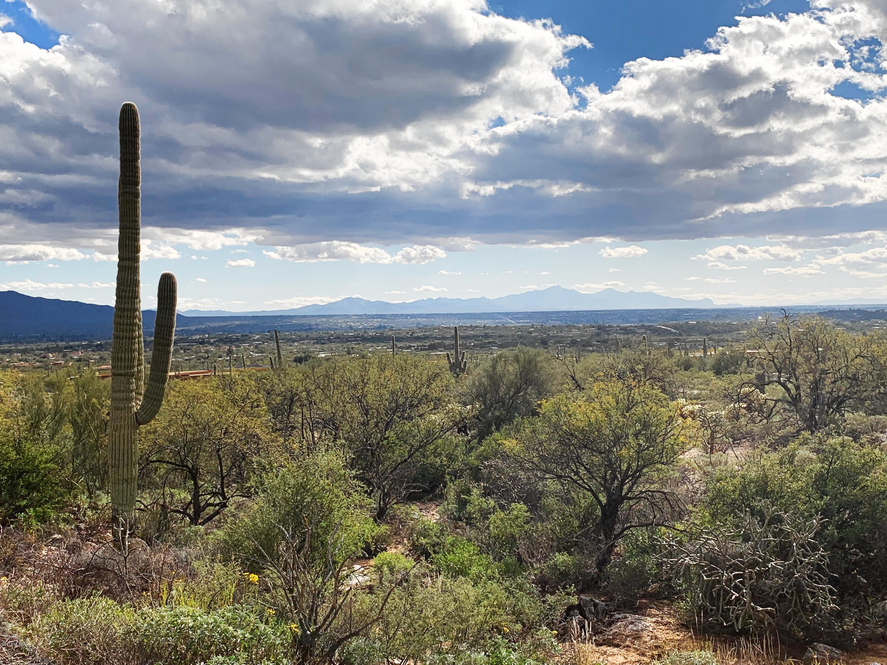 Fetzer Ranch (1-60) - Land