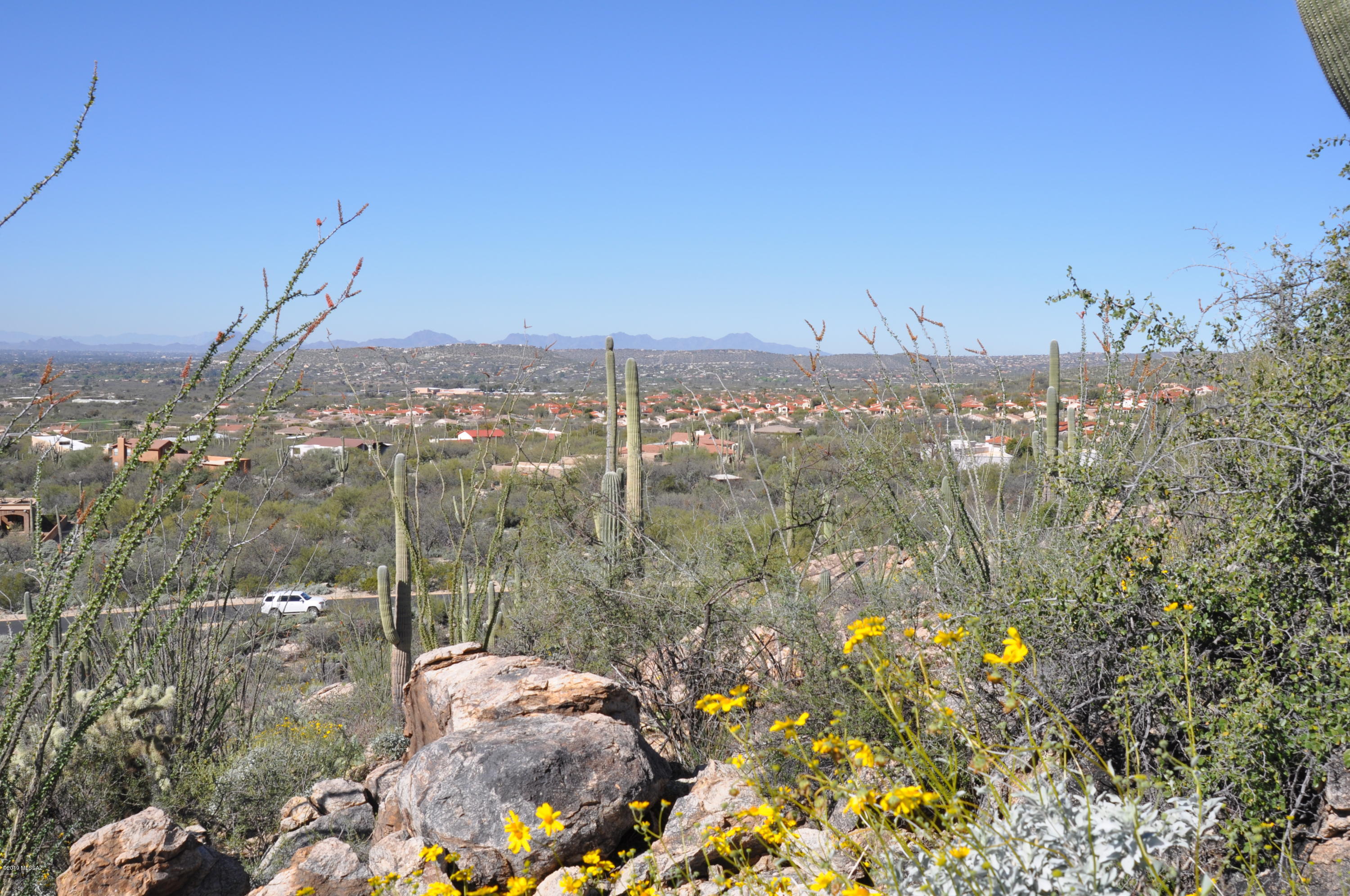 Fetzer Ranch (1-60) - Land