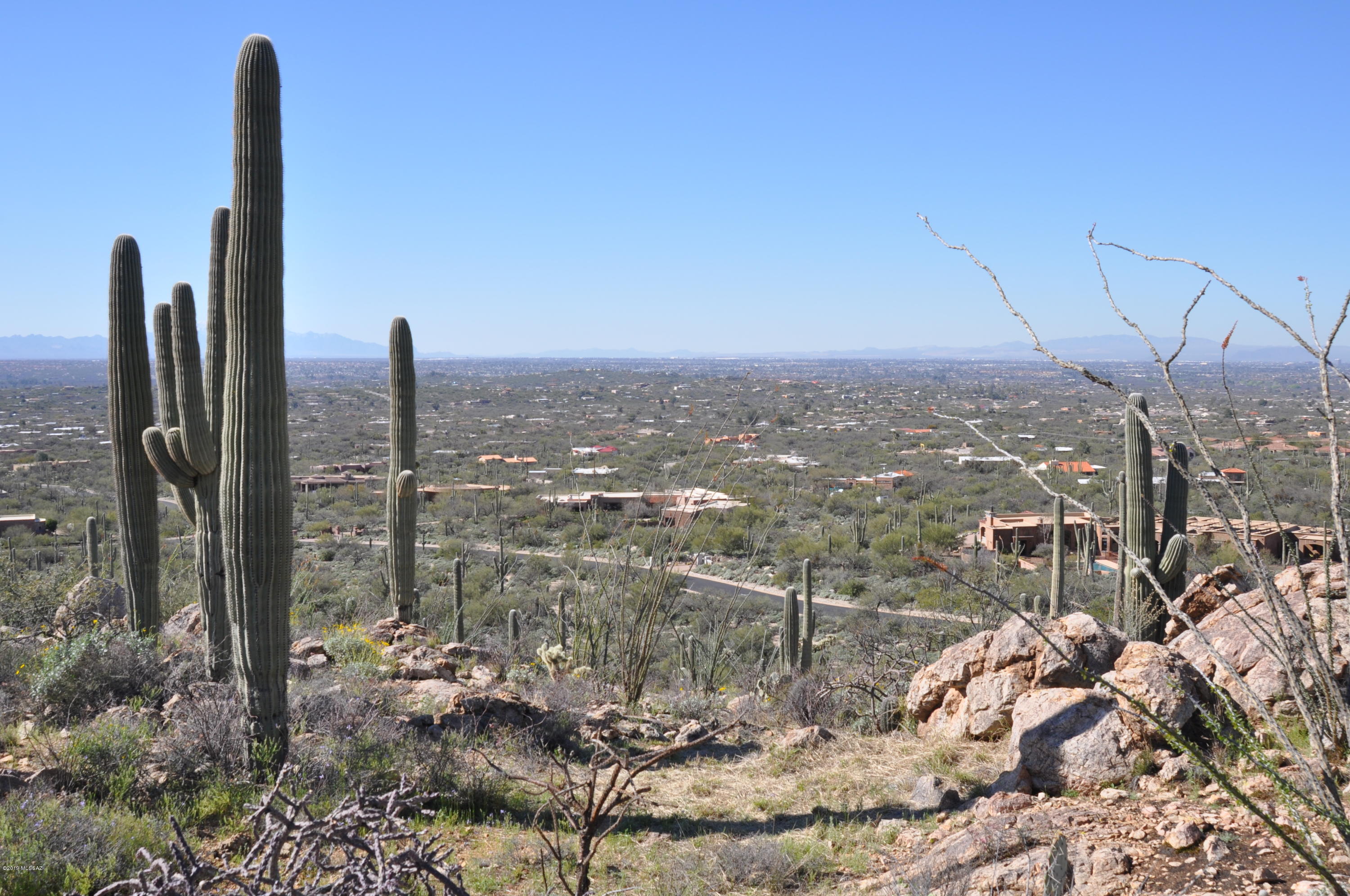 Fetzer Ranch (1-60) - Land