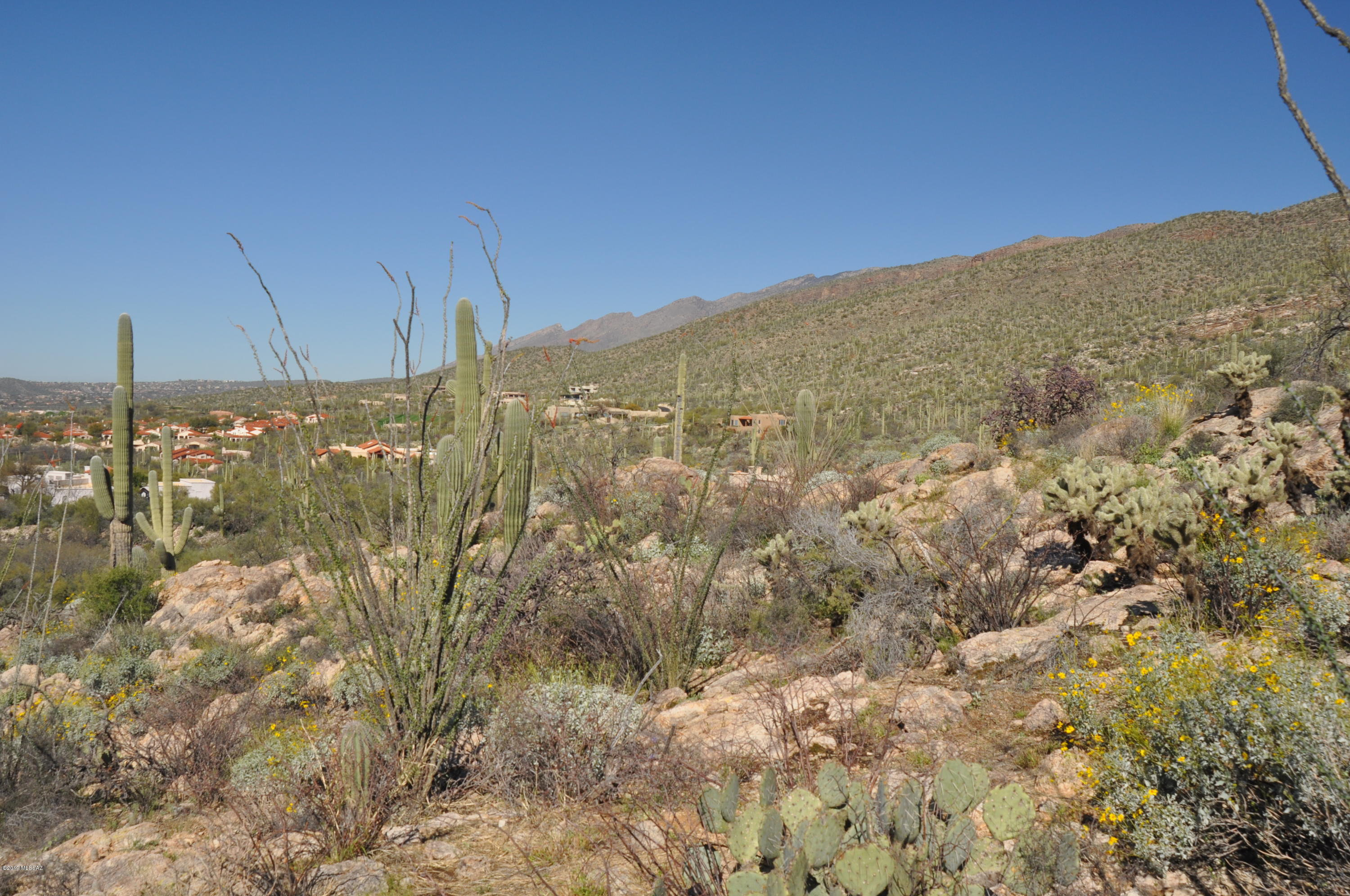 Fetzer Ranch (1-60) - Land