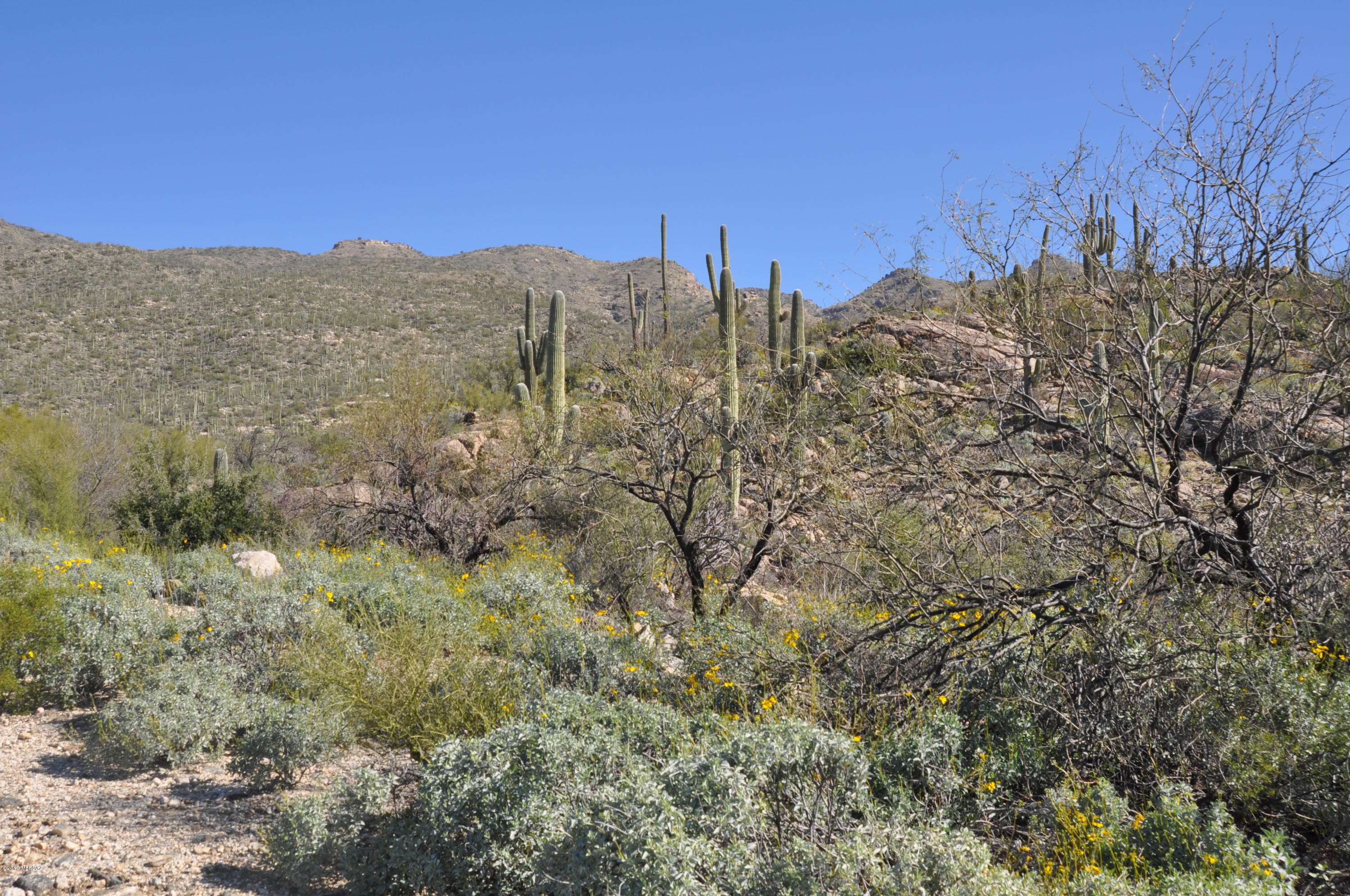 Fetzer Ranch (1-60) - Land