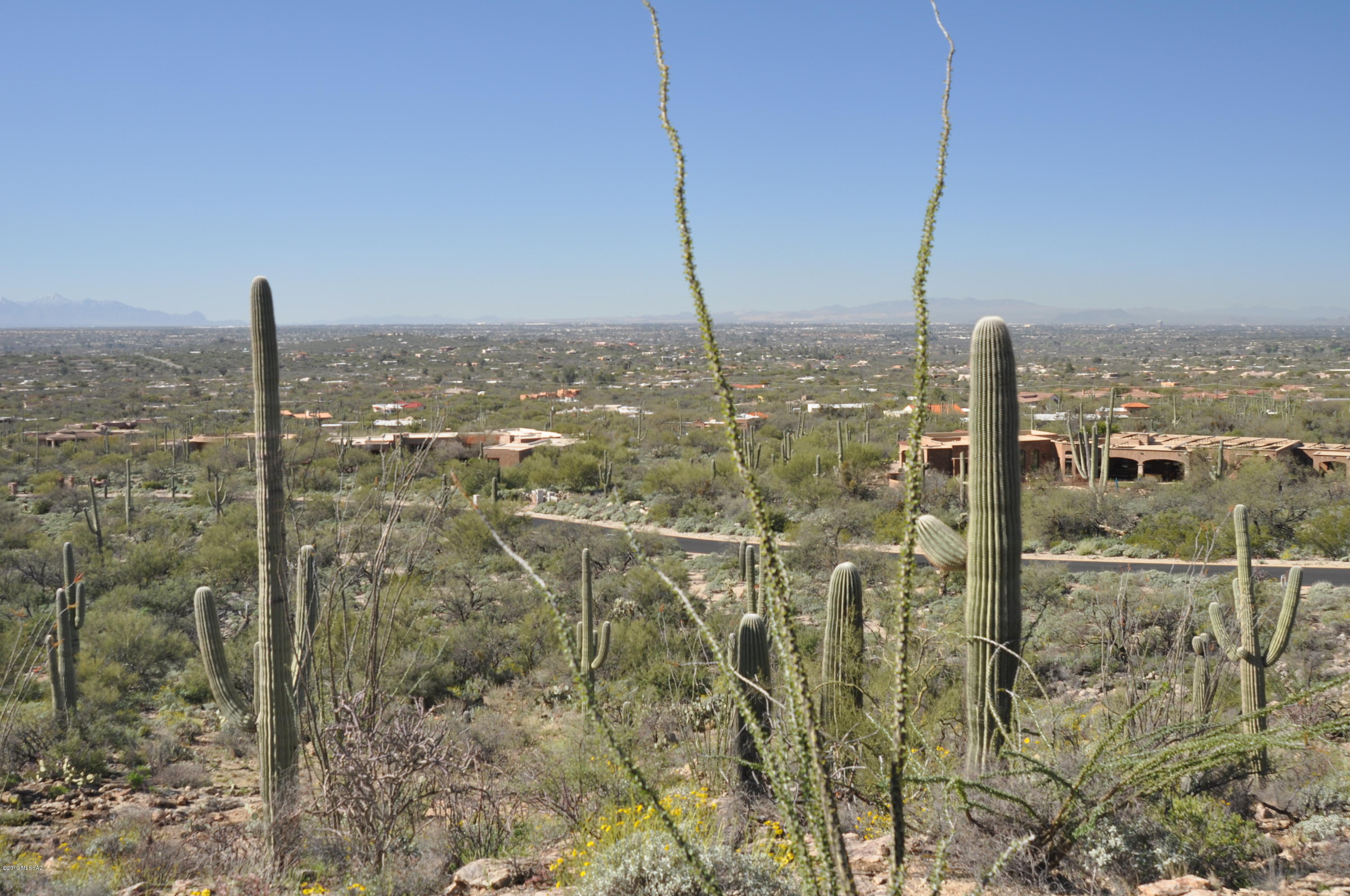 Fetzer Ranch (1-60) - Land