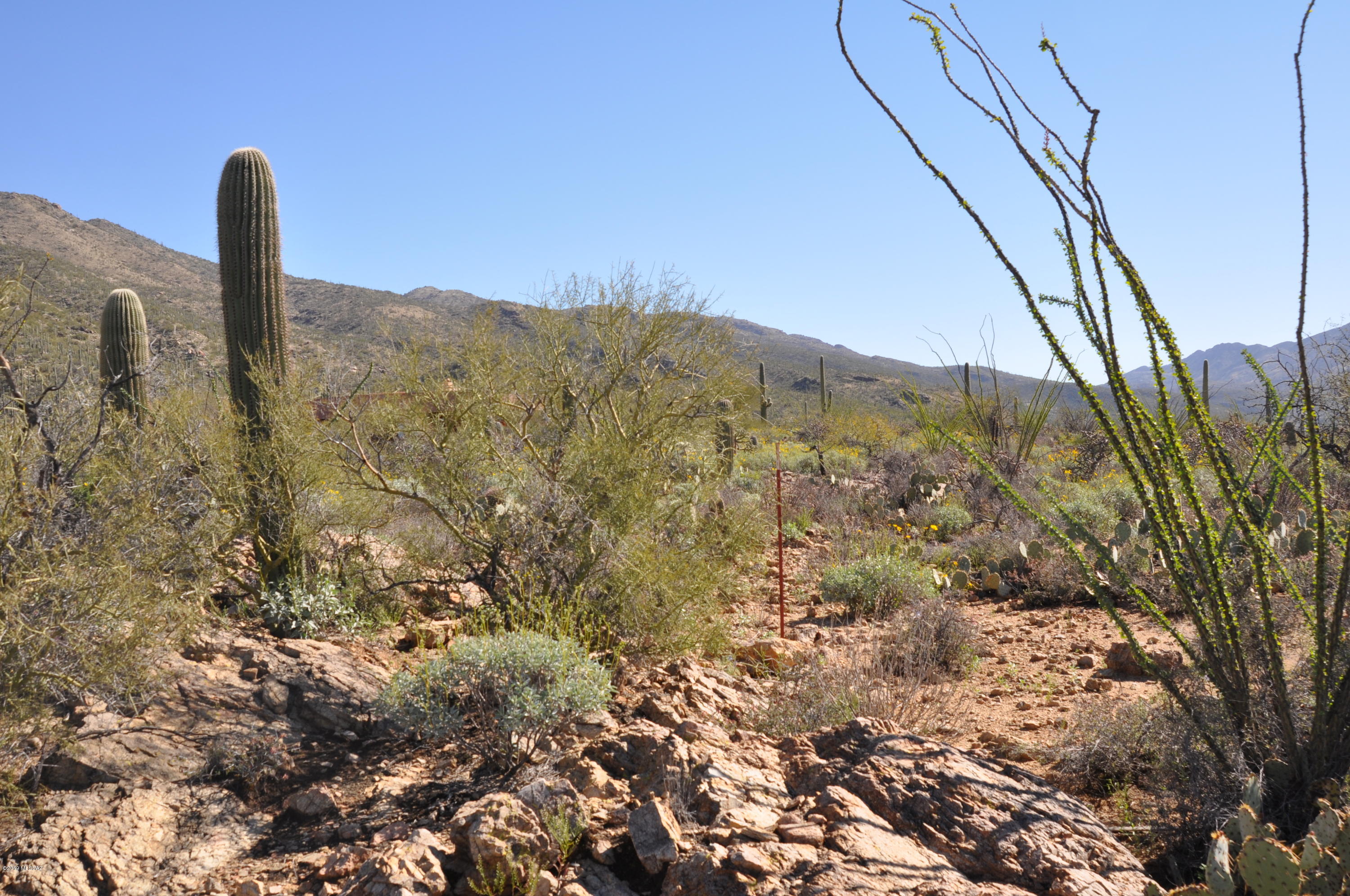 Fetzer Ranch (1-60) - Land