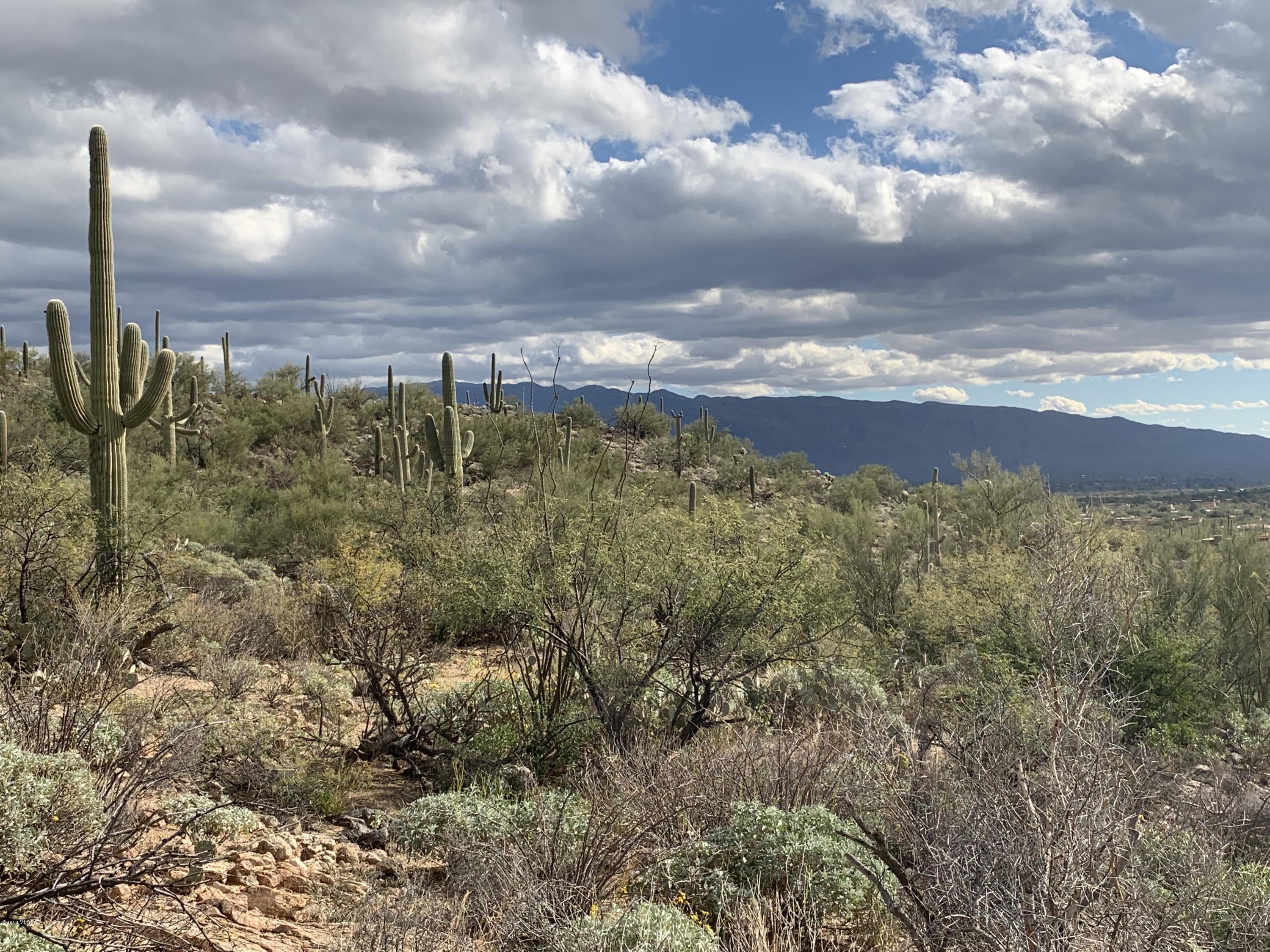 Fetzer Ranch (1-60) - Land