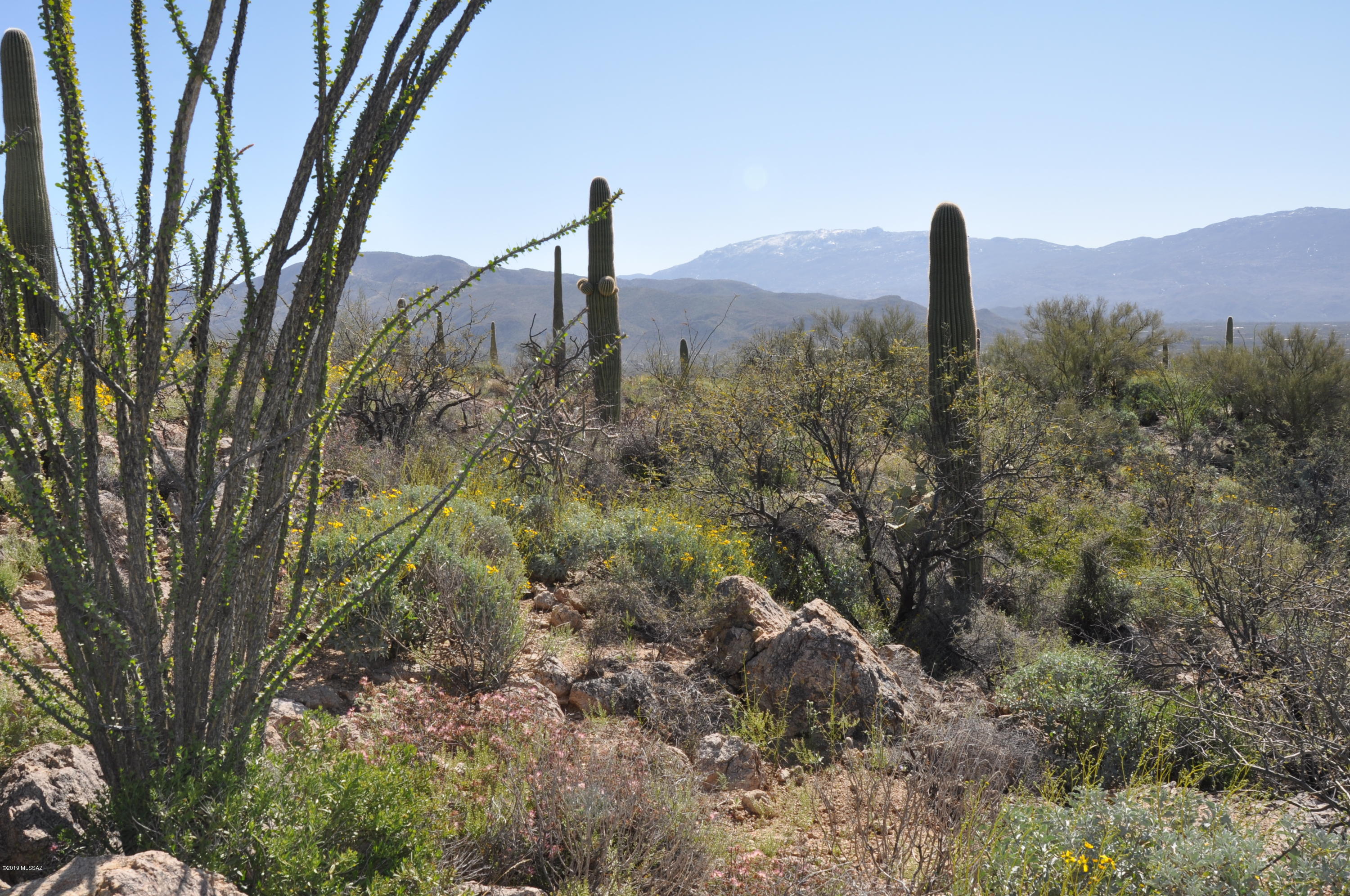Fetzer Ranch (1-60) - Land