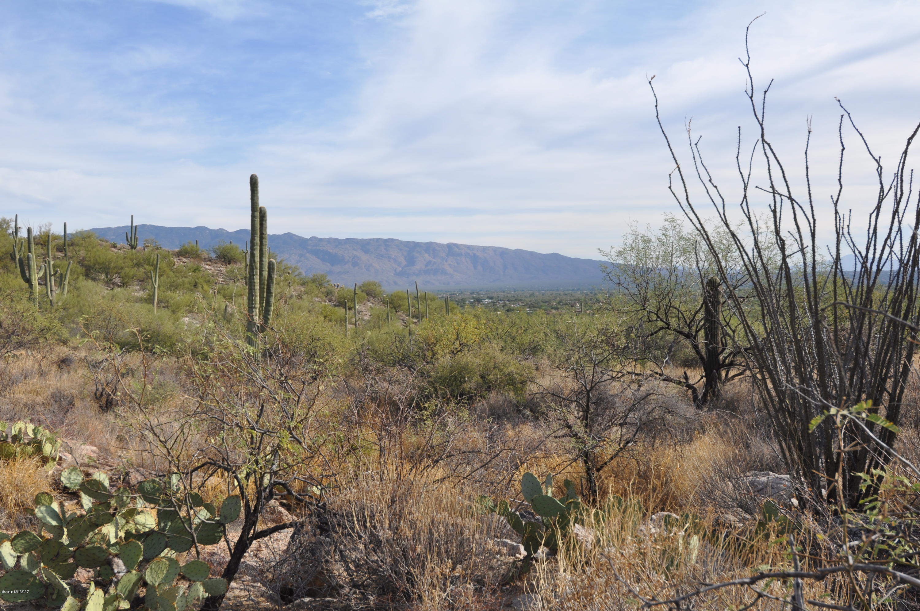 Fetzer Ranch (1-60) - Land