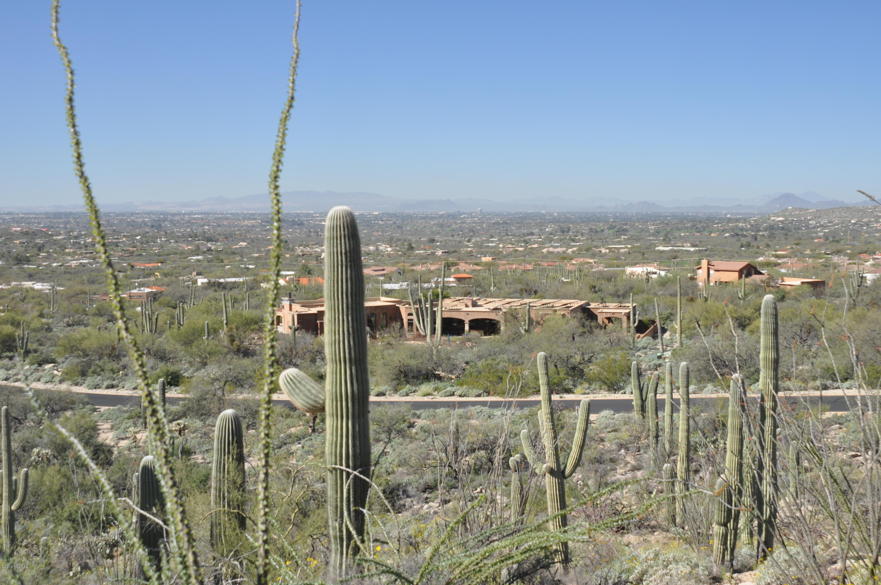 Fetzer Ranch (1-60) - Land