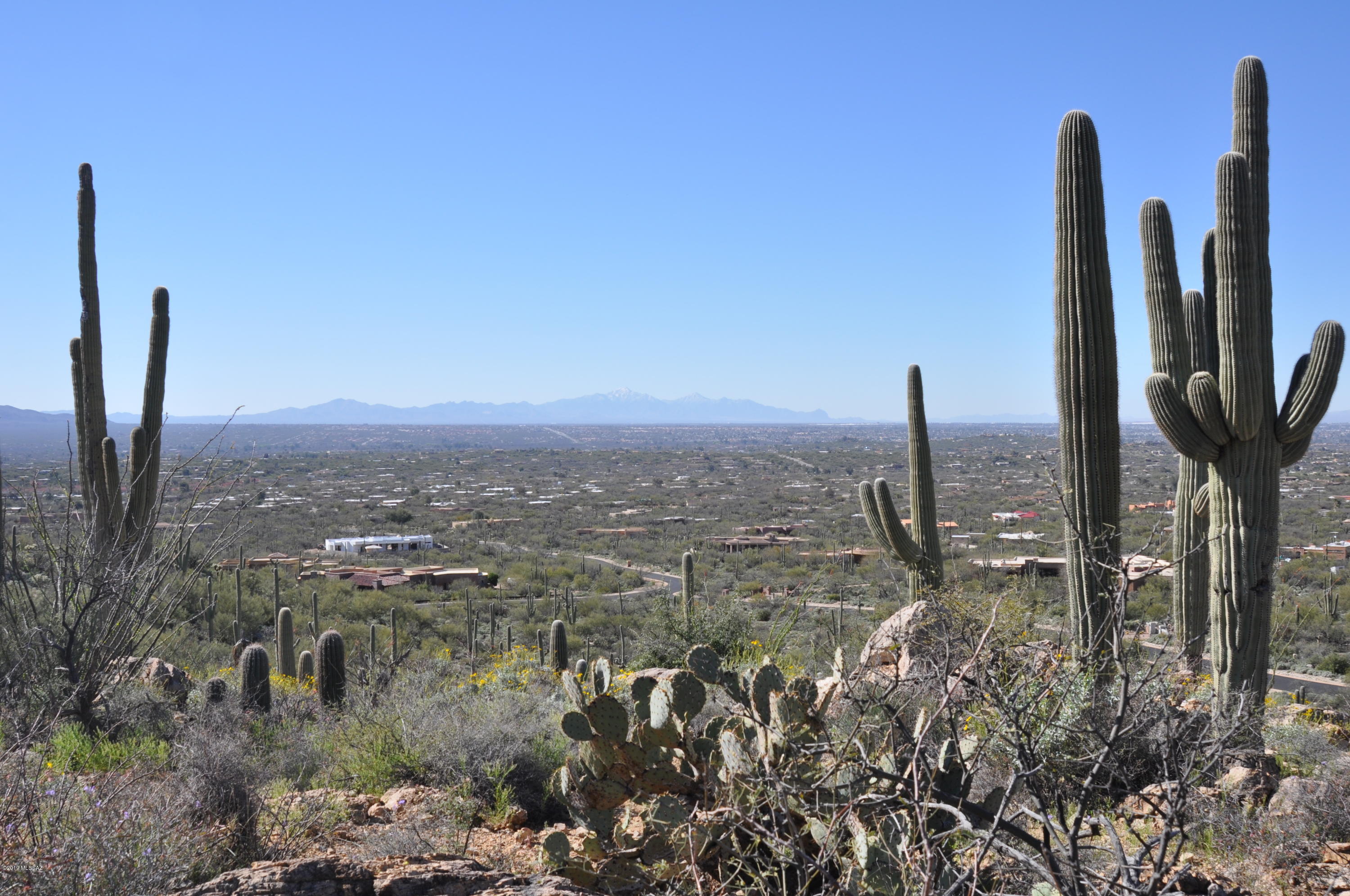 Fetzer Ranch (1-60) - Land
