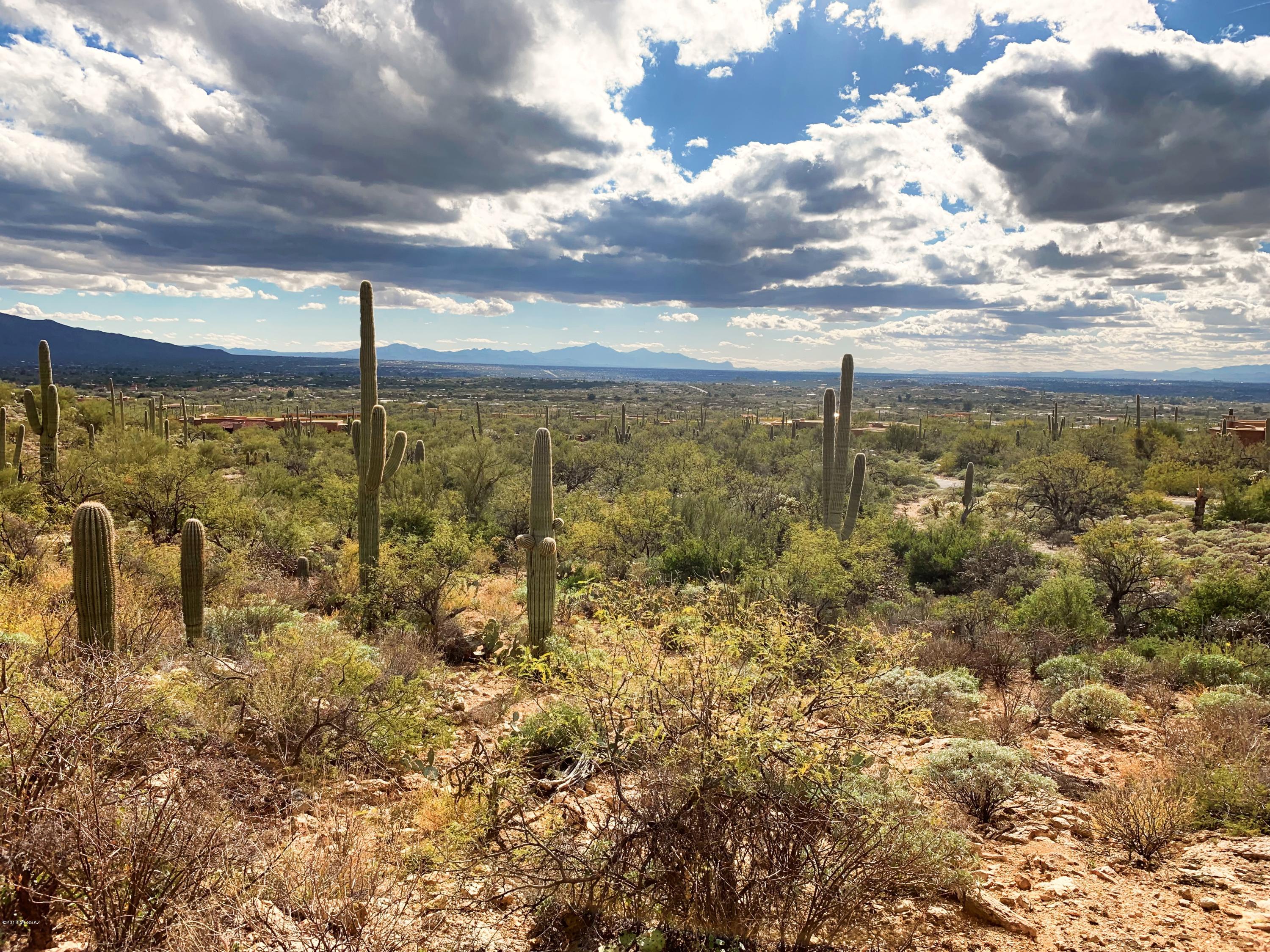 Fetzer Ranch (1-60) - Land