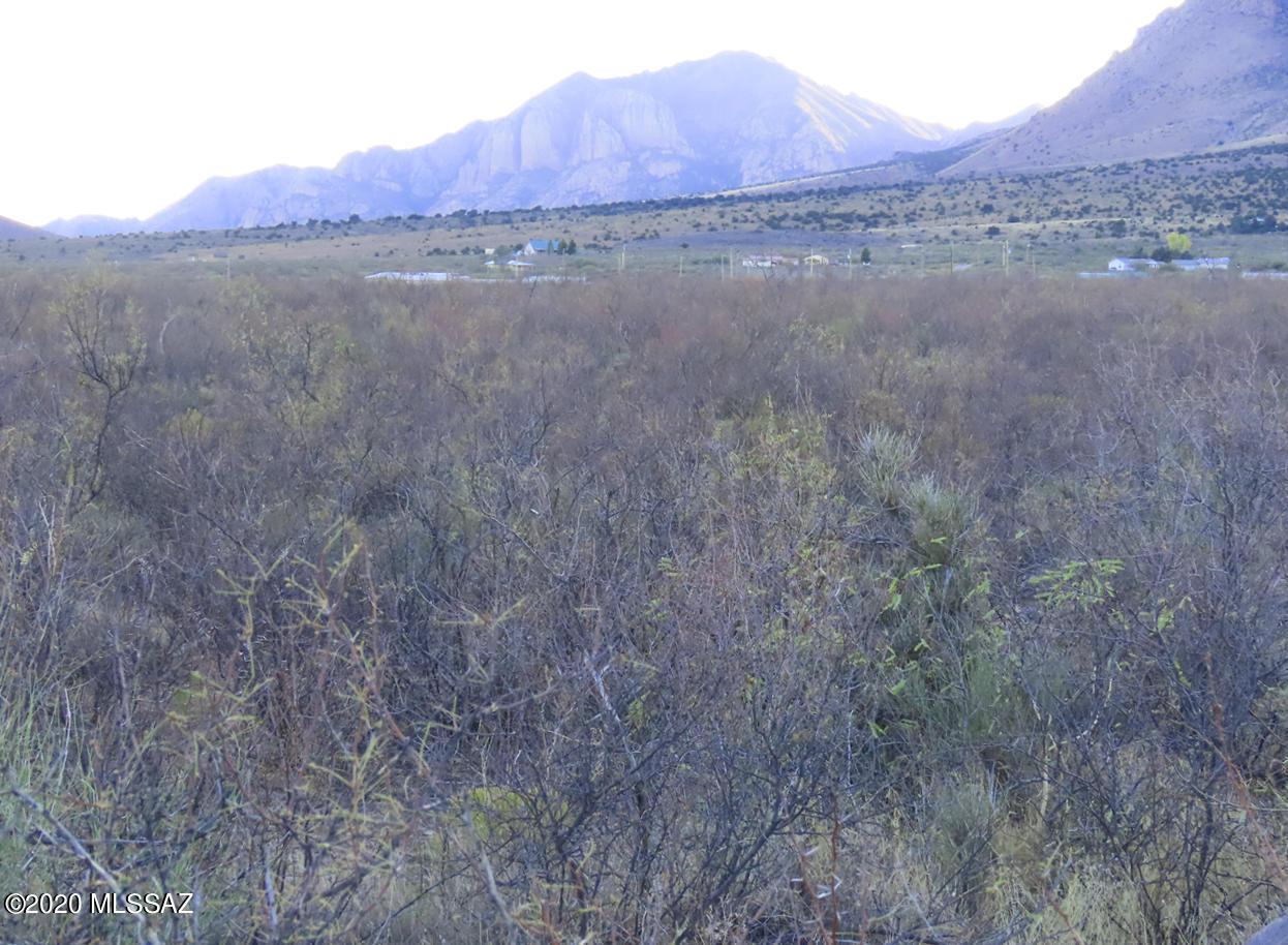 Level lot at the end of the road, state land on north side, with great views of Portal Peak - ride or hunt right out your back door! power on lot line, septic installed, well share. Seller is required to inspect septic before sale, well share to be investigated by buyer during inspection period. No guarantees that septic will be found Functional. Probably no recorded well share agreement.