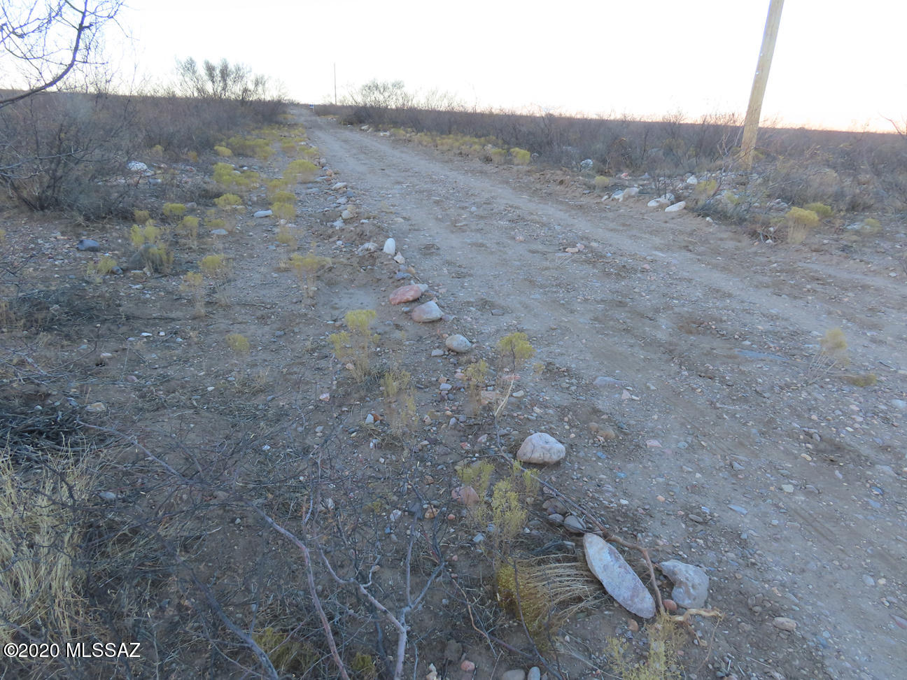 Out Of Pima County - Land